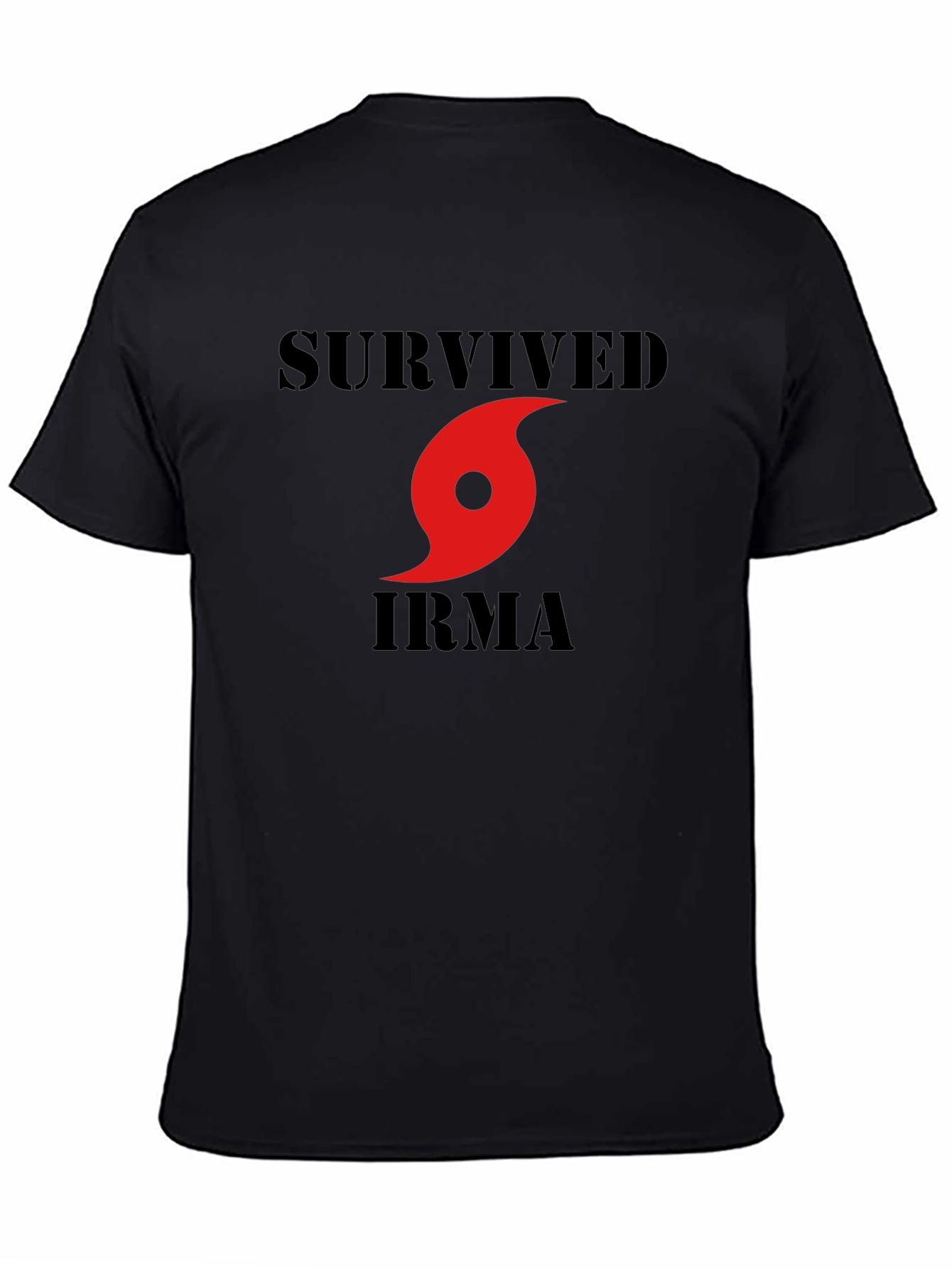 I Survived Hurricane Irma Graphic Tee