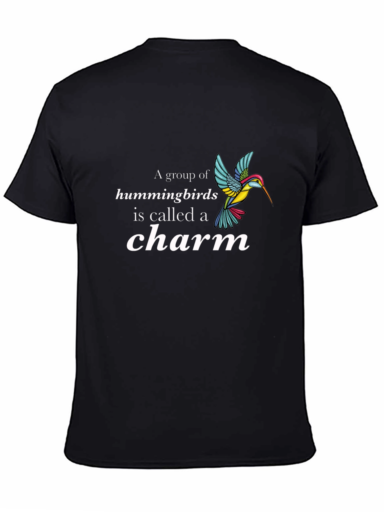 Hummingbird Charm Graphic T-Shirt