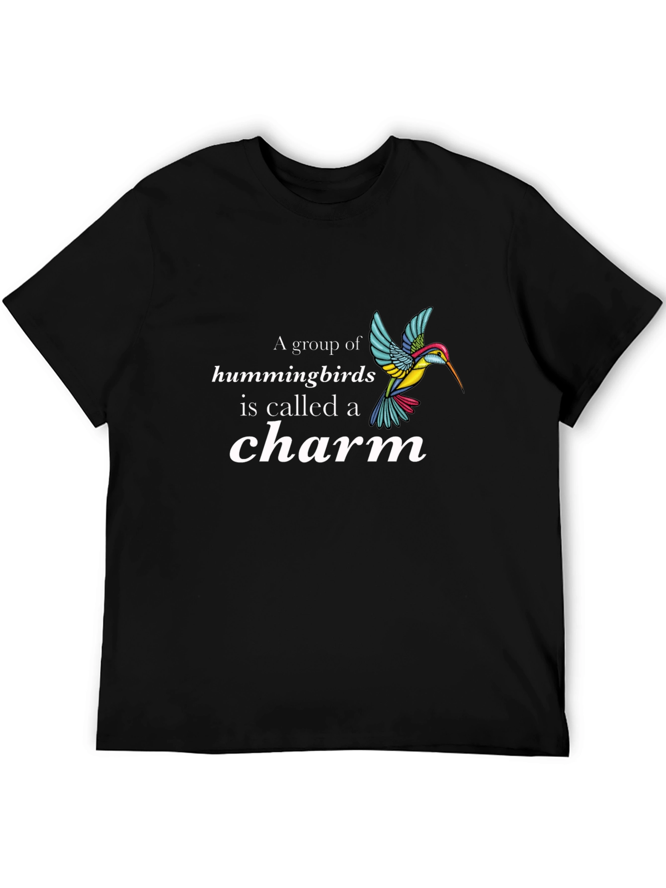 Hummingbird Charm Graphic T-Shirt