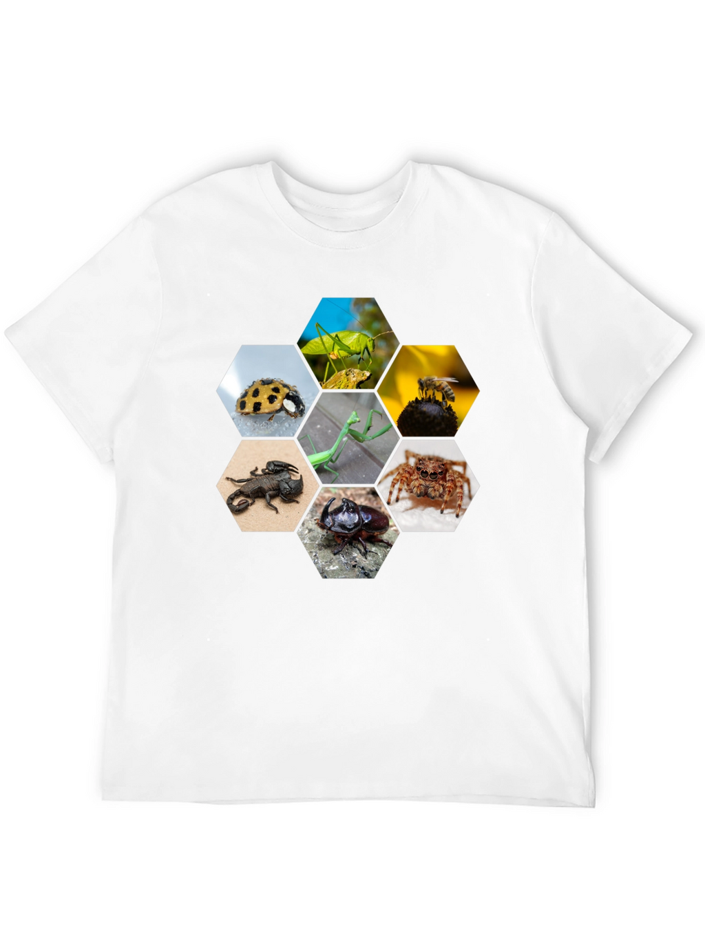 Insect Hexagon T-Shirt - Unique Nature Design