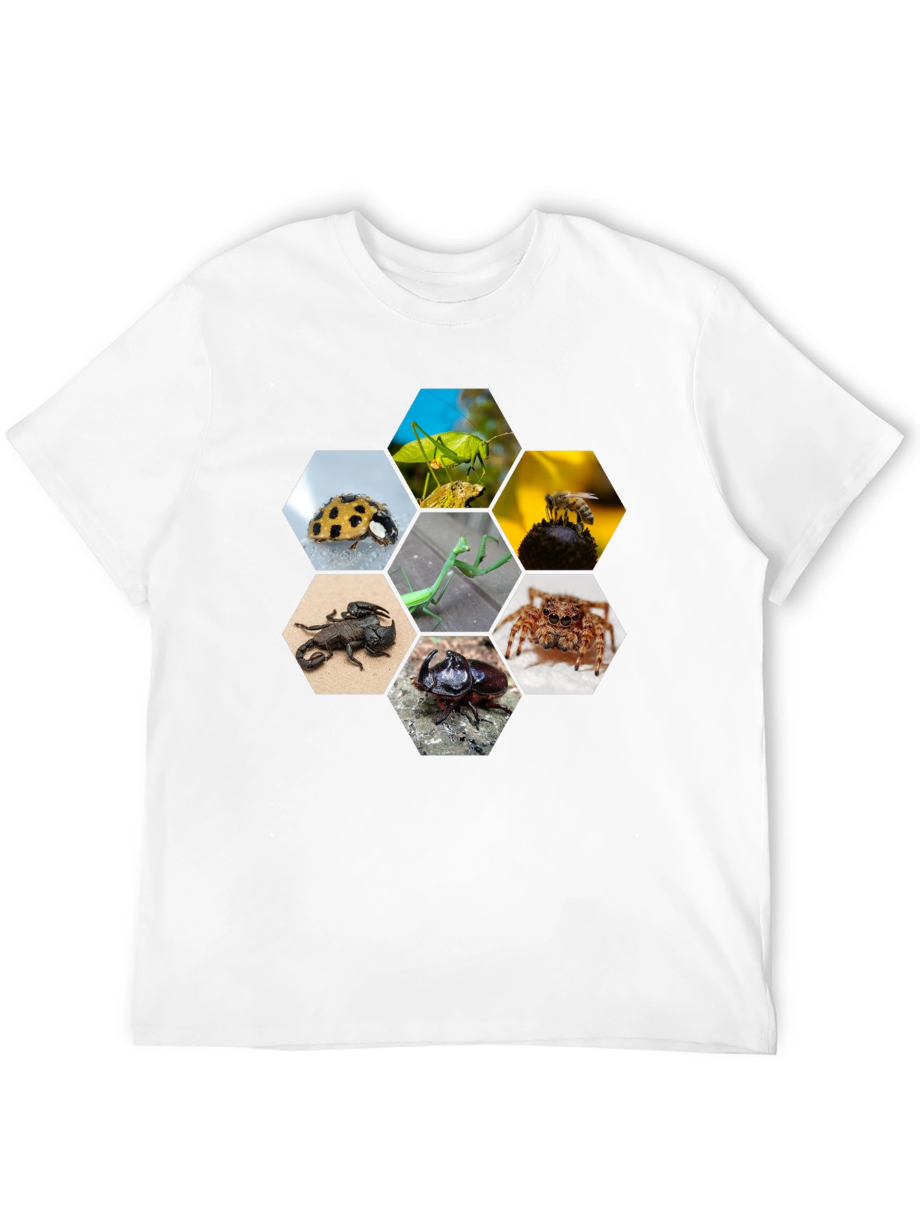 Insect Hexagon T-Shirt - Unique Nature Design