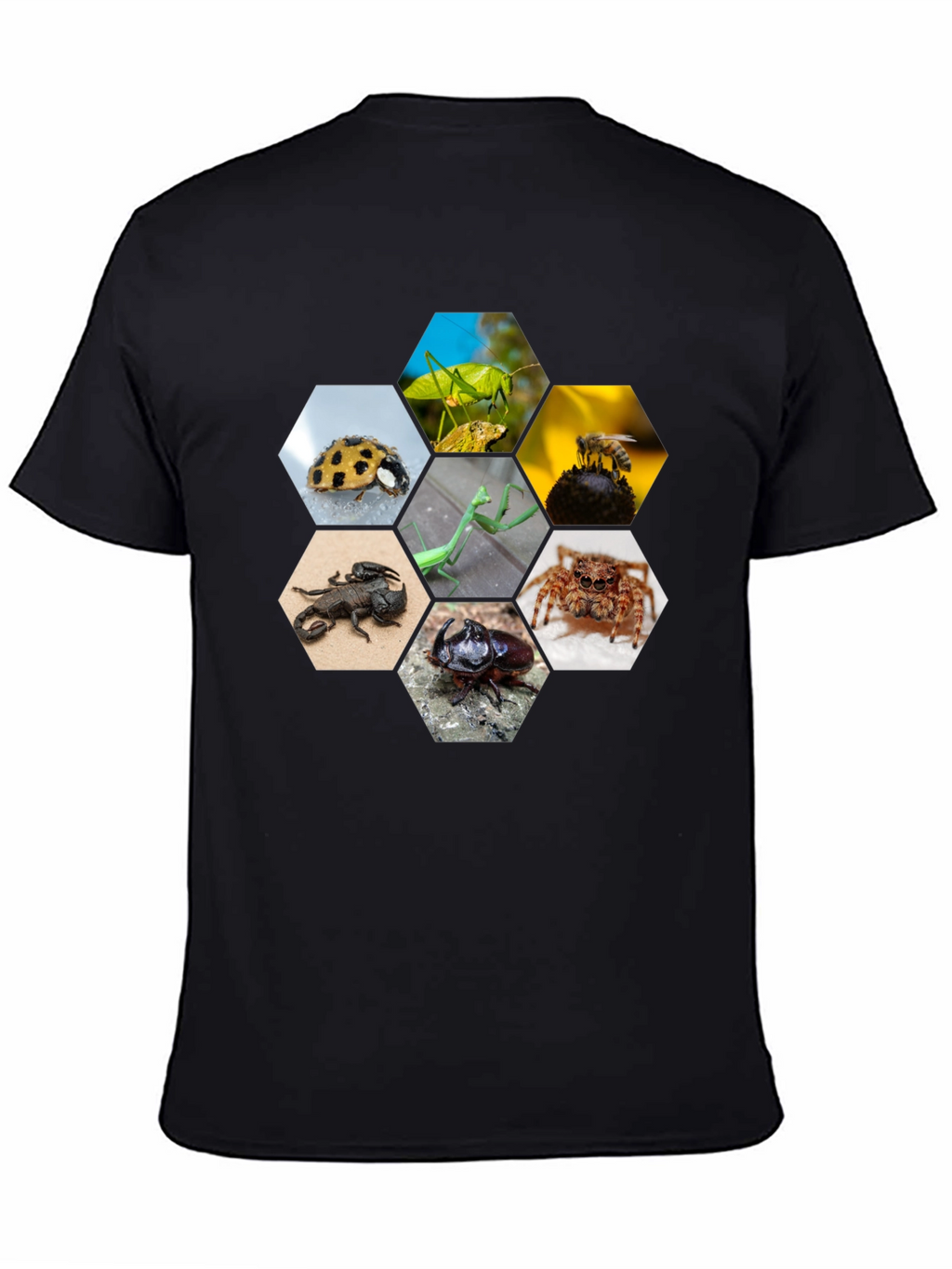 Insect Hexagon T-Shirt - Unique Nature Design