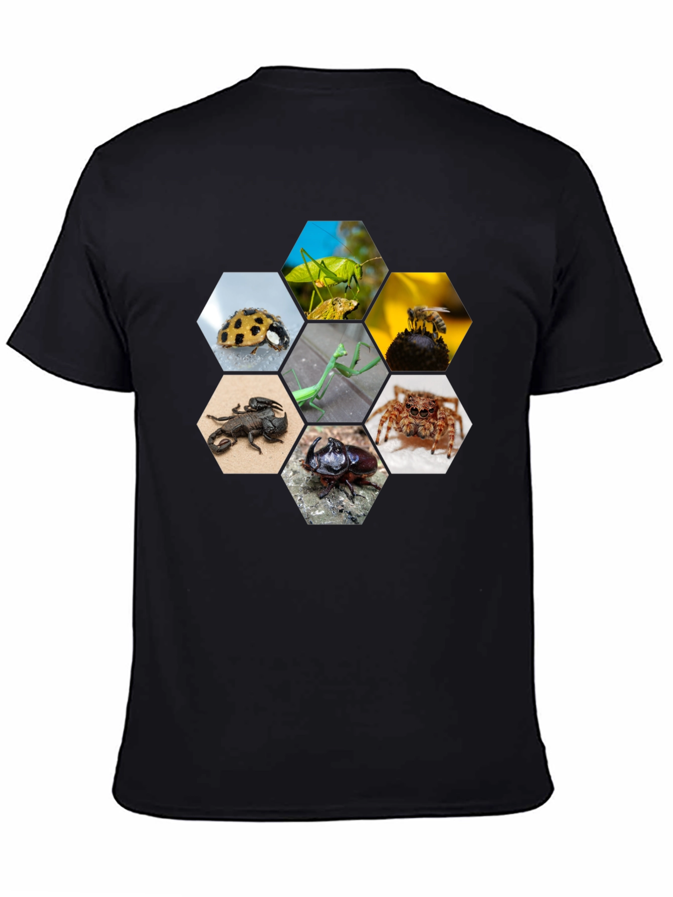 Insect Hexagon T-Shirt - Unique Nature Design