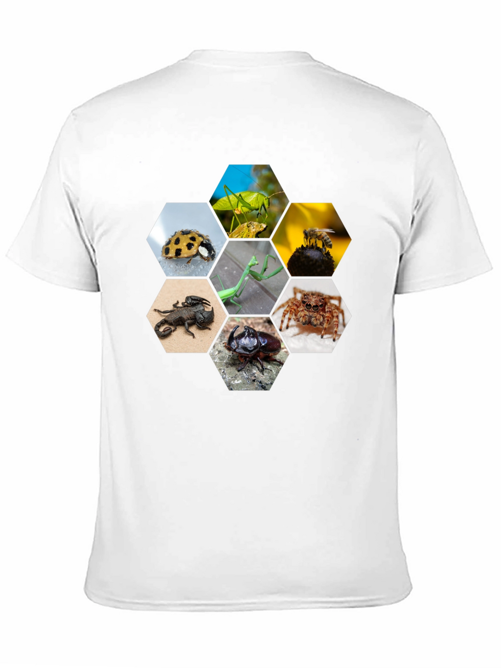 Insect Hexagon T-Shirt - Unique Nature Design