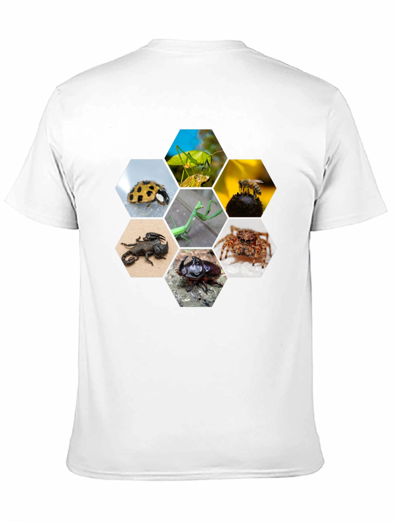 Insect Hexagon T-Shirt - Unique Nature Design