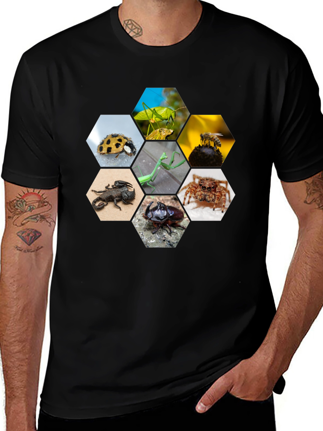 Insect Hexagon T-Shirt - Unique Nature Design