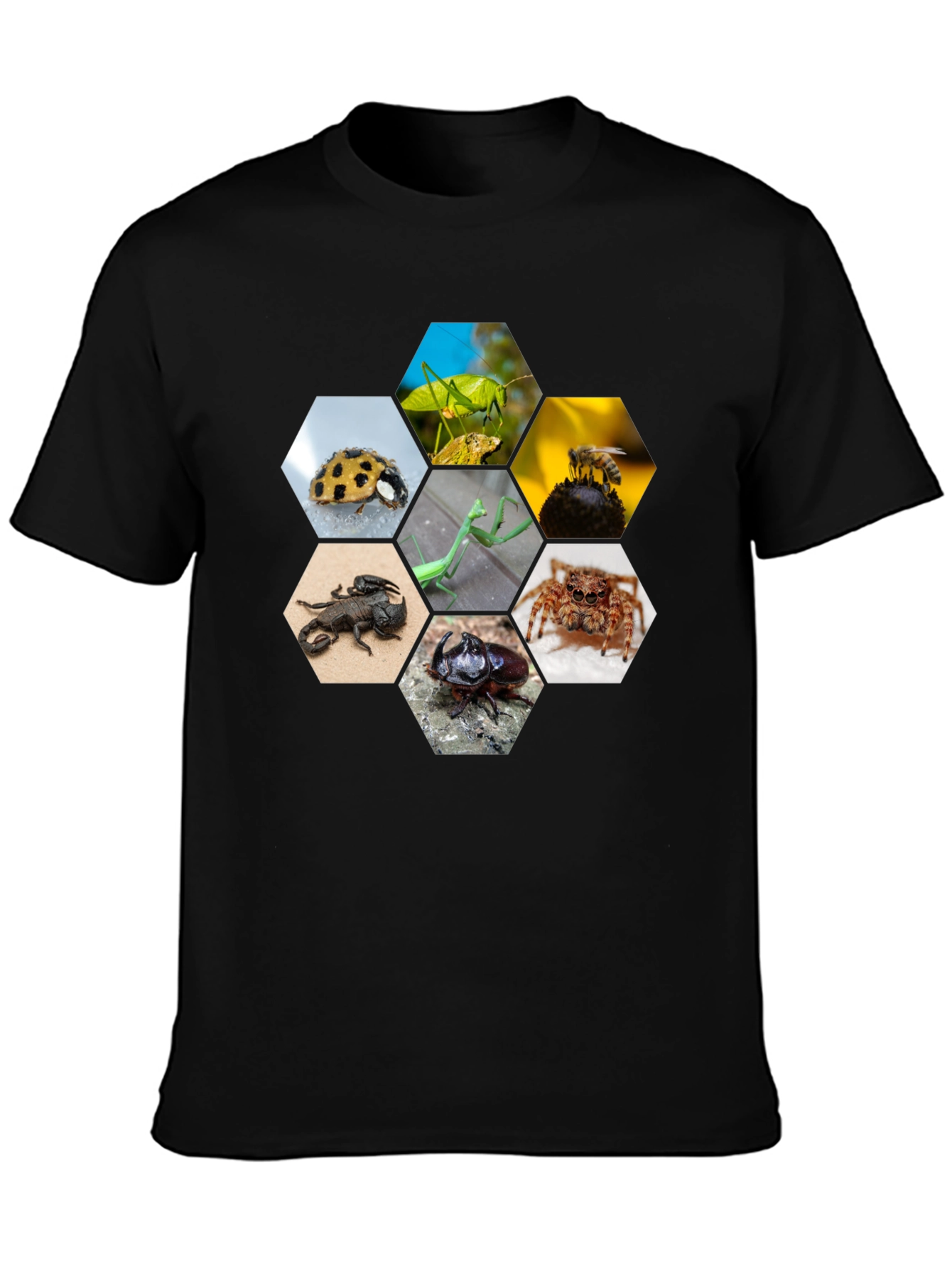 Insect Hexagon T-Shirt - Unique Nature Design