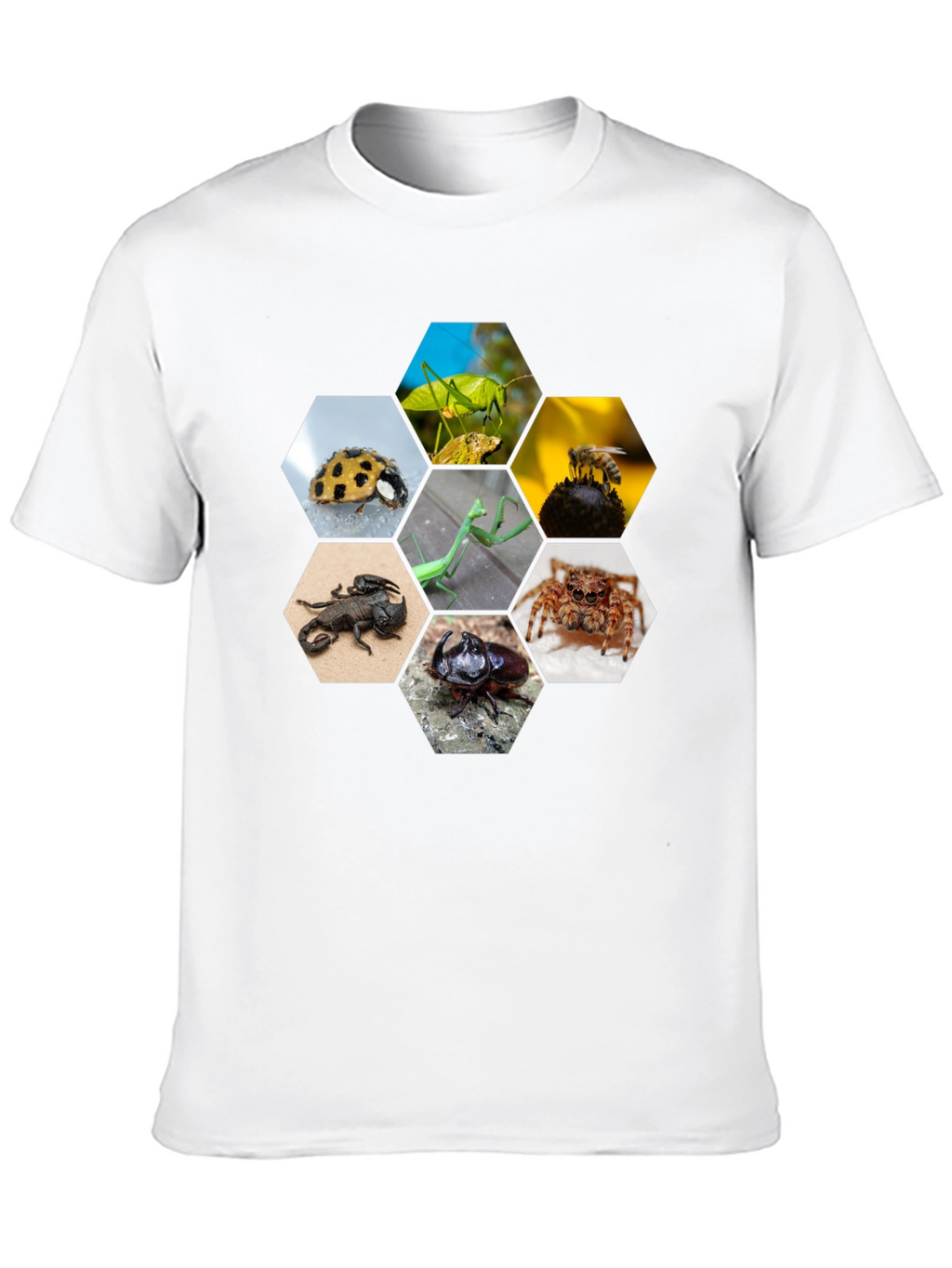 Insect Hexagon T-Shirt - Unique Nature Design