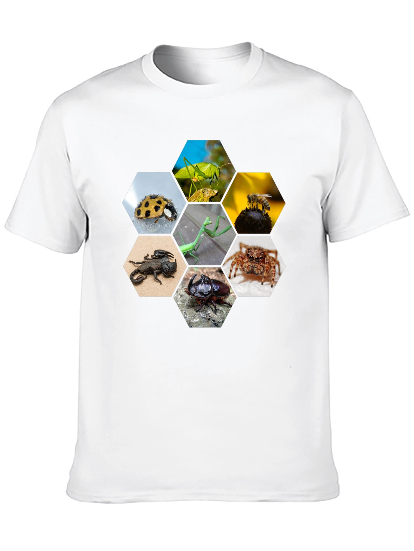 Insect Hexagon T-Shirt - Unique Nature Design