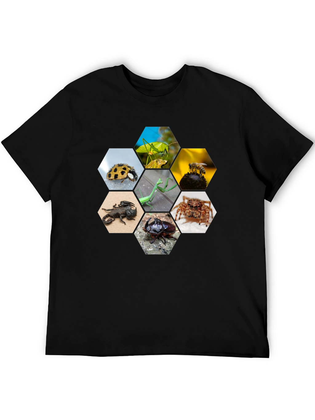 Insect Hexagon T-Shirt - Unique Nature Design