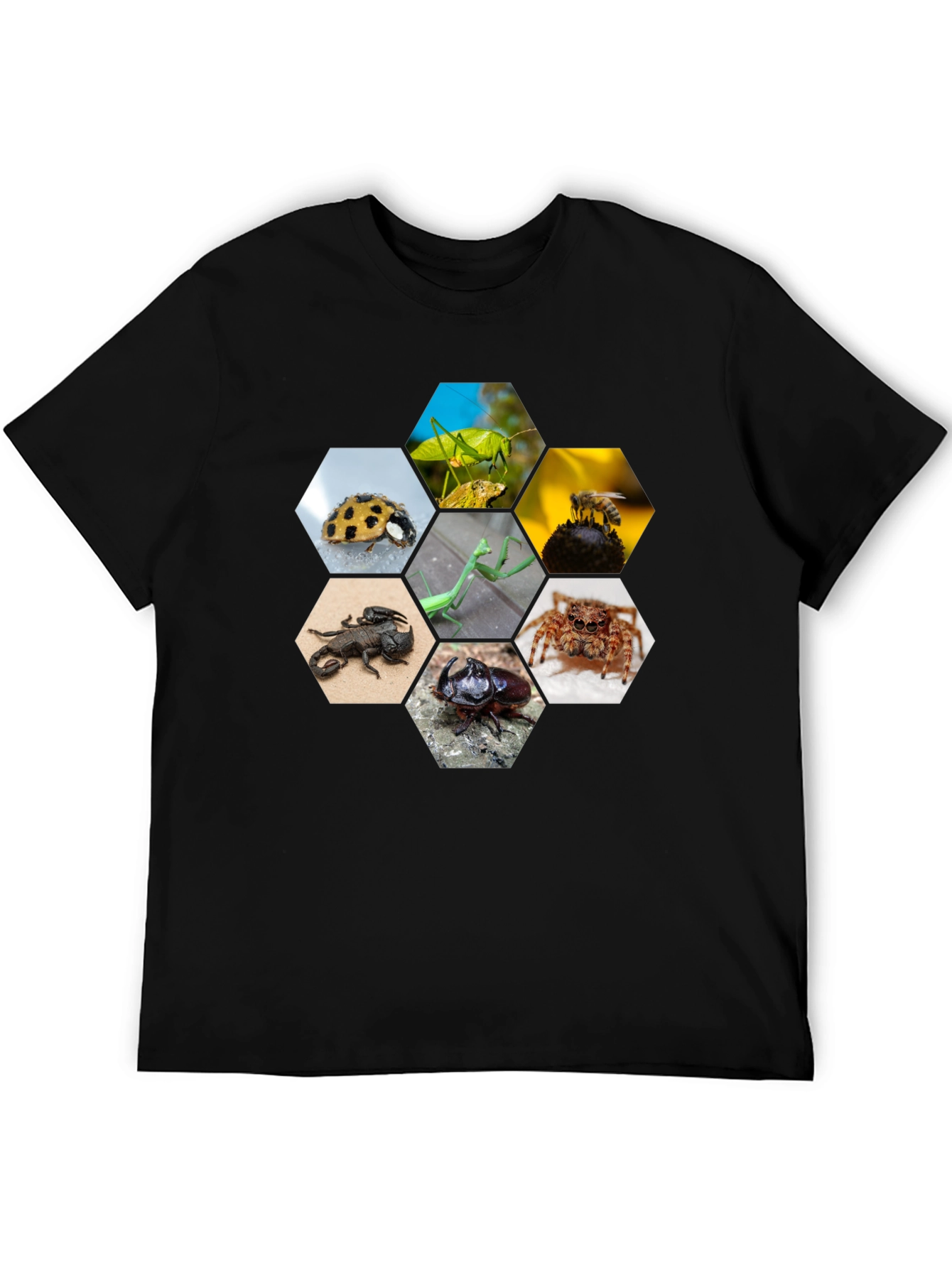 Insect Hexagon T-Shirt - Unique Nature Design