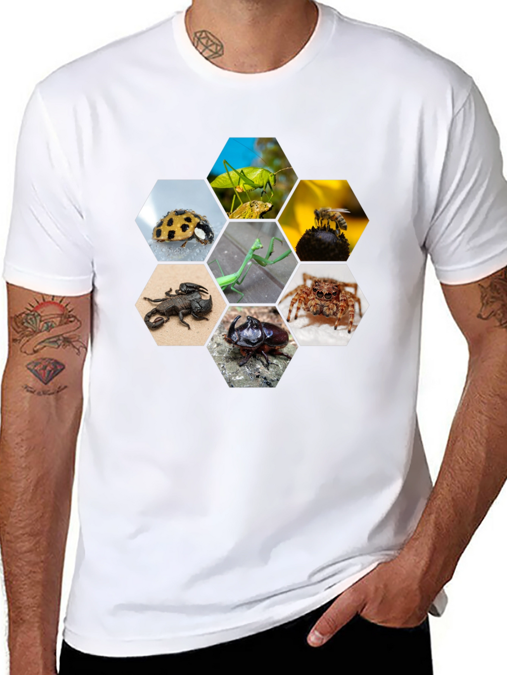 Insect Hexagon T-Shirt - Unique Nature Design