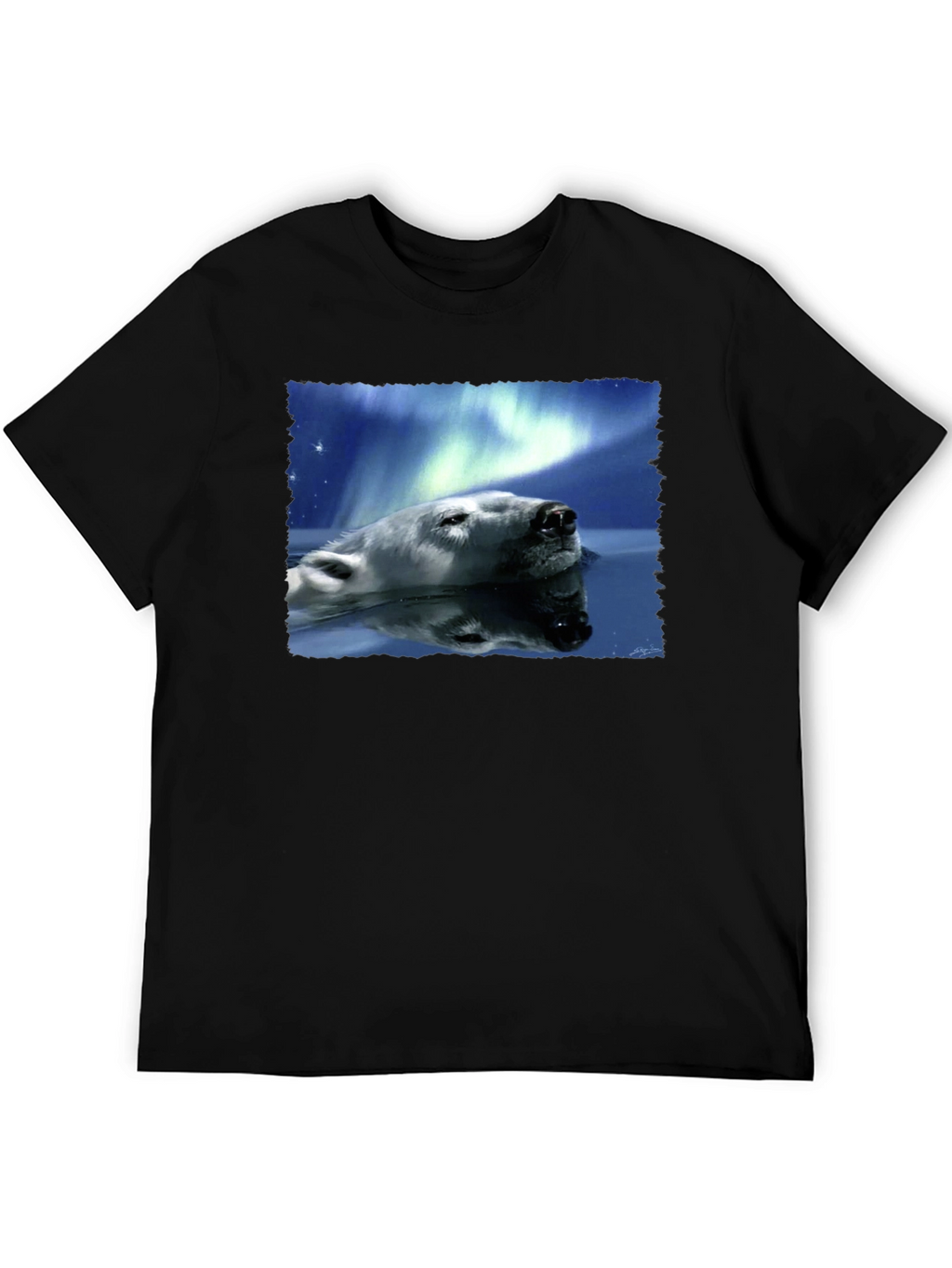 Polar Bear Northern Lights Graphic Tee - Black