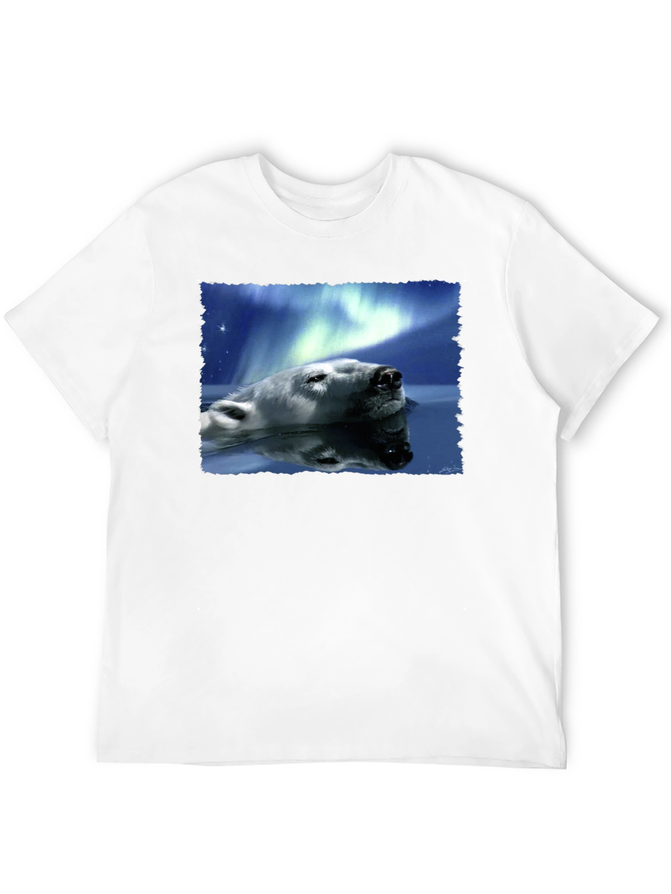 Polar Bear Northern Lights Graphic Tee - Black