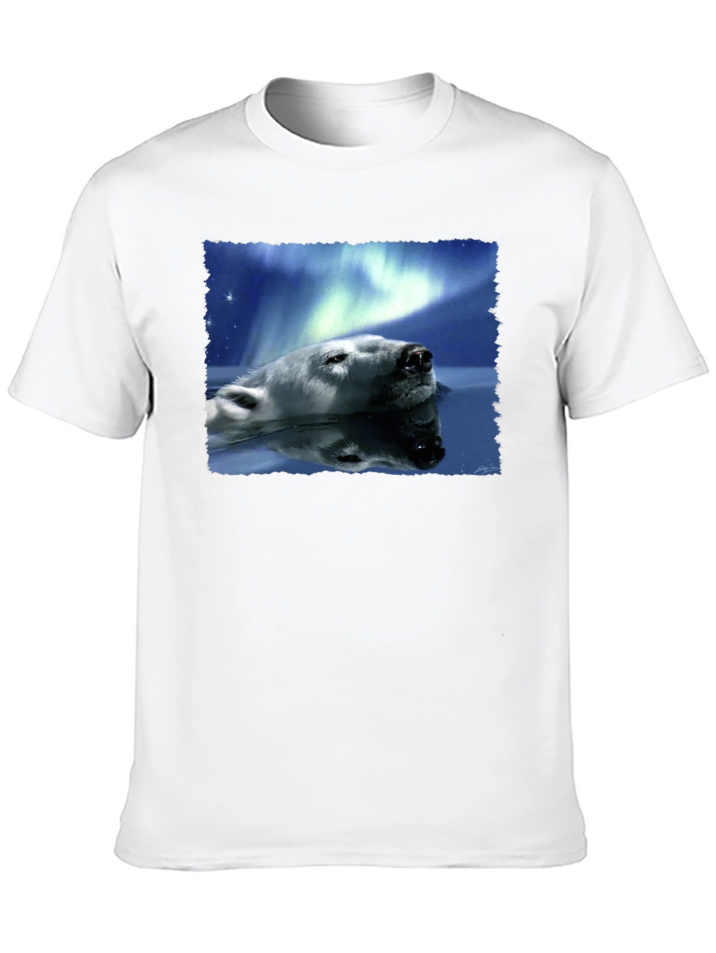 Polar Bear Northern Lights Graphic Tee - Black