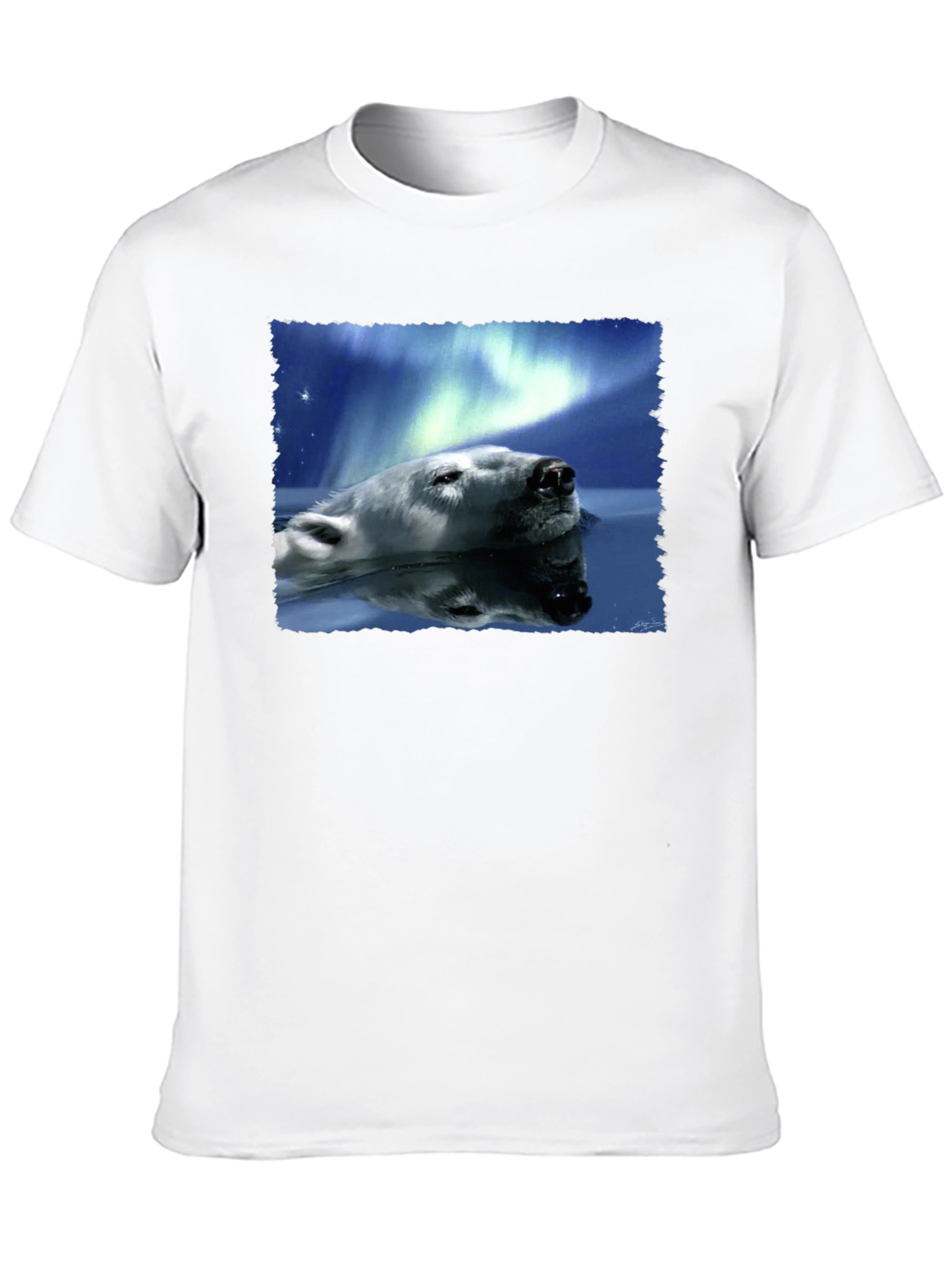 Polar Bear Northern Lights Graphic Tee - Black