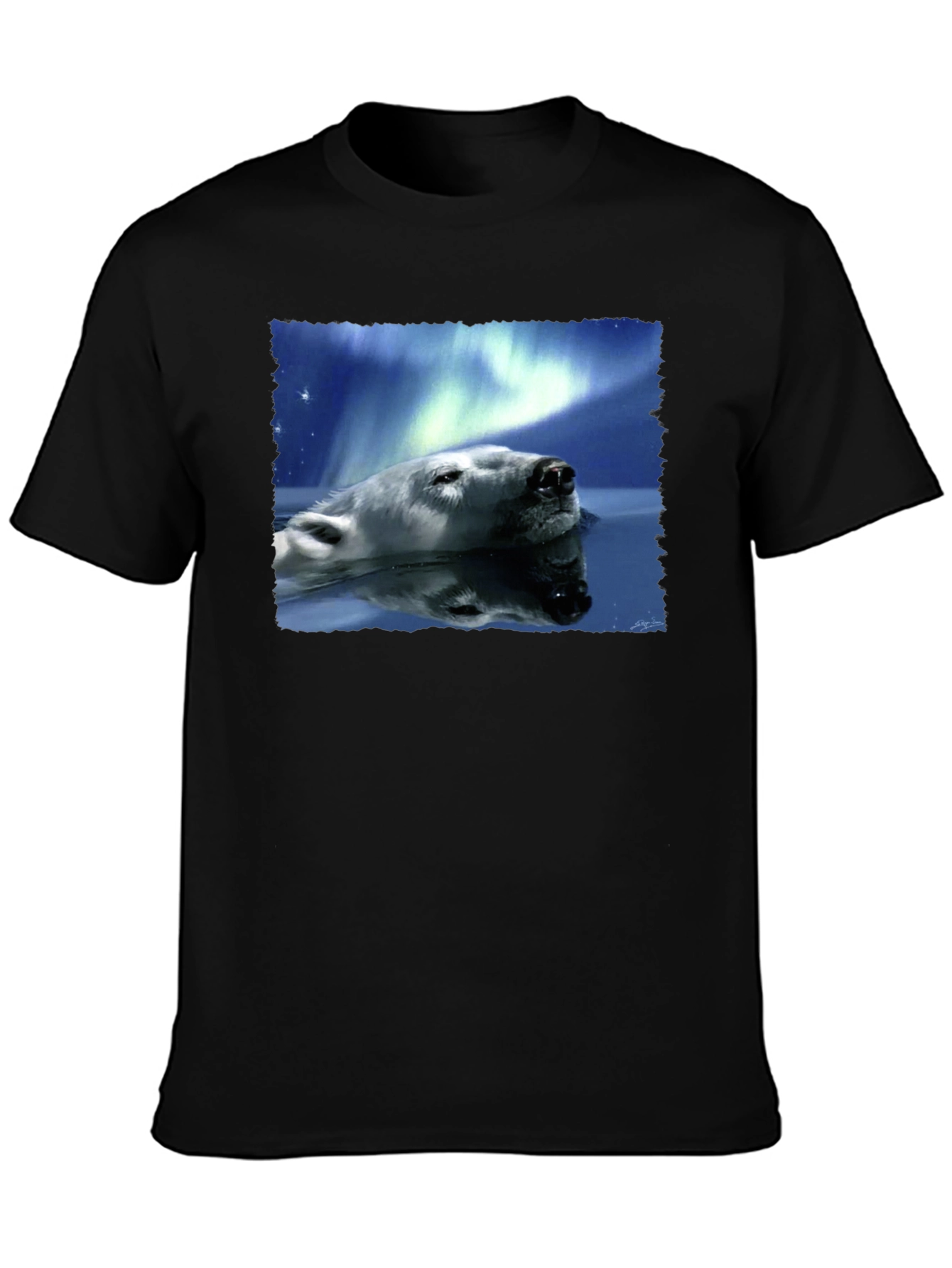 Polar Bear Northern Lights Graphic Tee - Black
