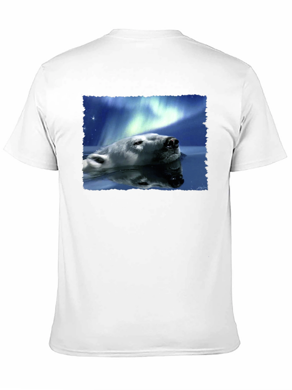Polar Bear Northern Lights Graphic Tee - Black