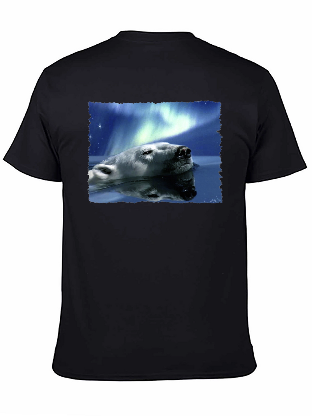 Polar Bear Northern Lights Graphic Tee - Black