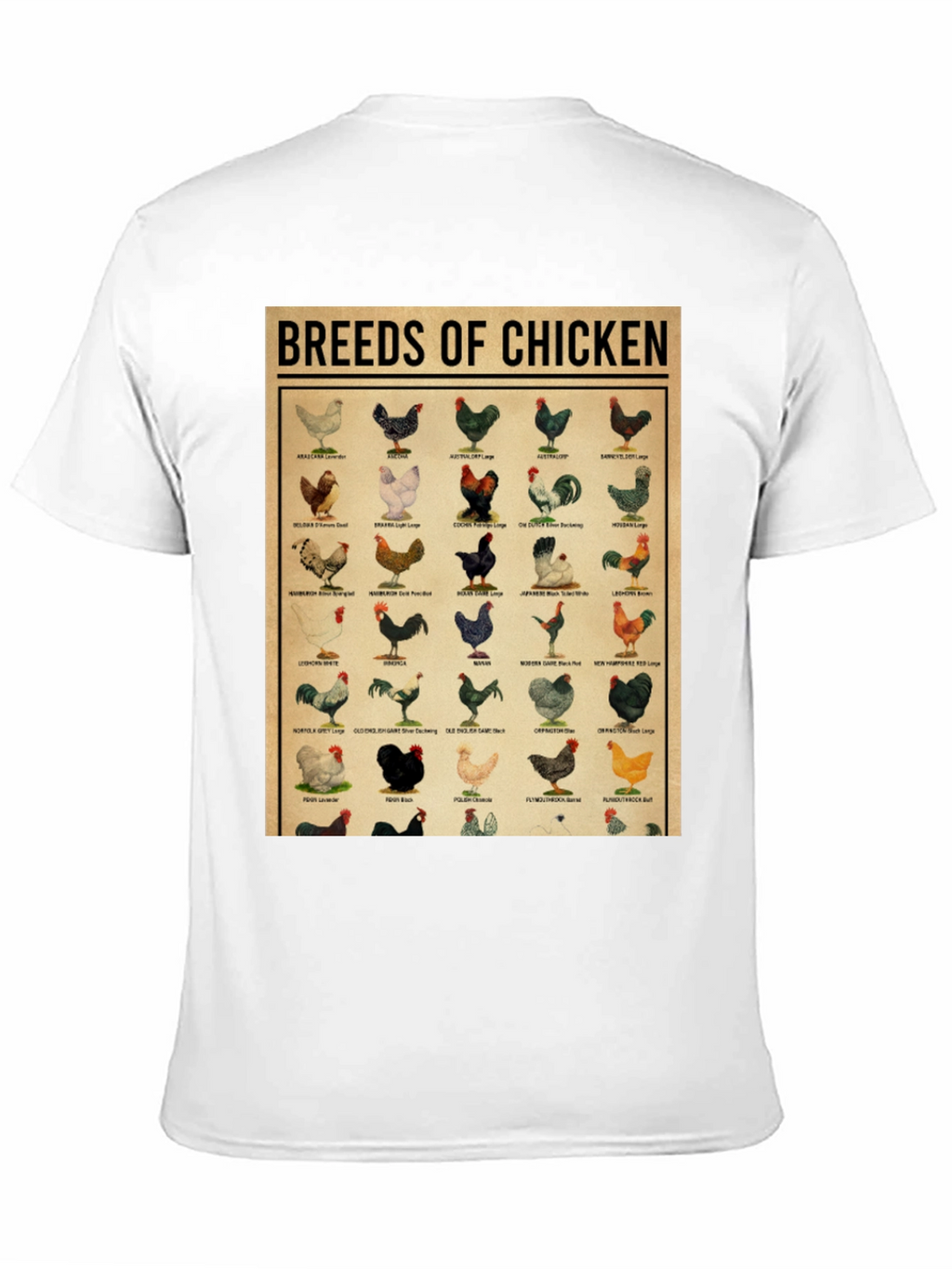 Breeds of Chicken Graphic Tee - Black T-Shirt
