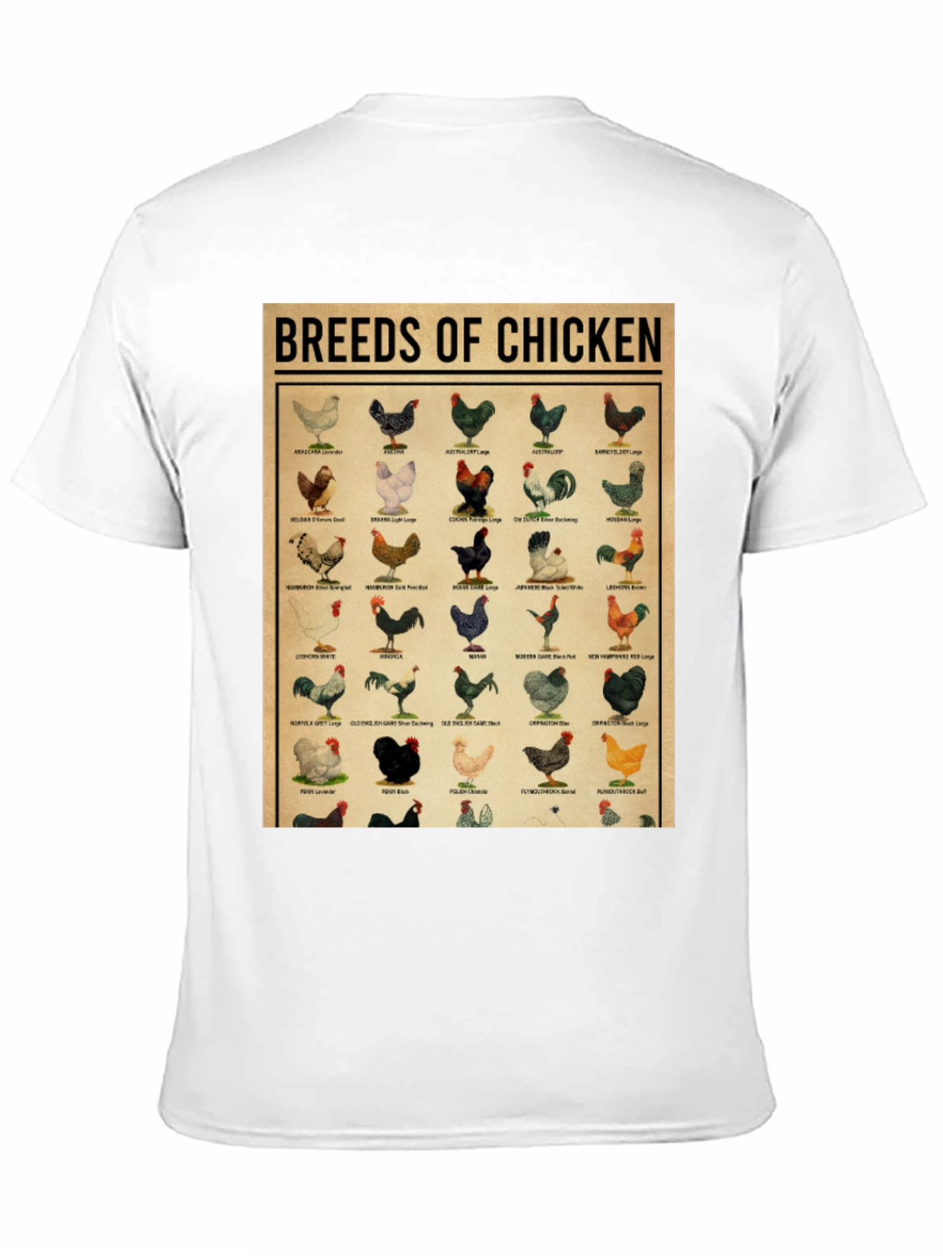 Breeds of Chicken Graphic Tee - Black T-Shirt