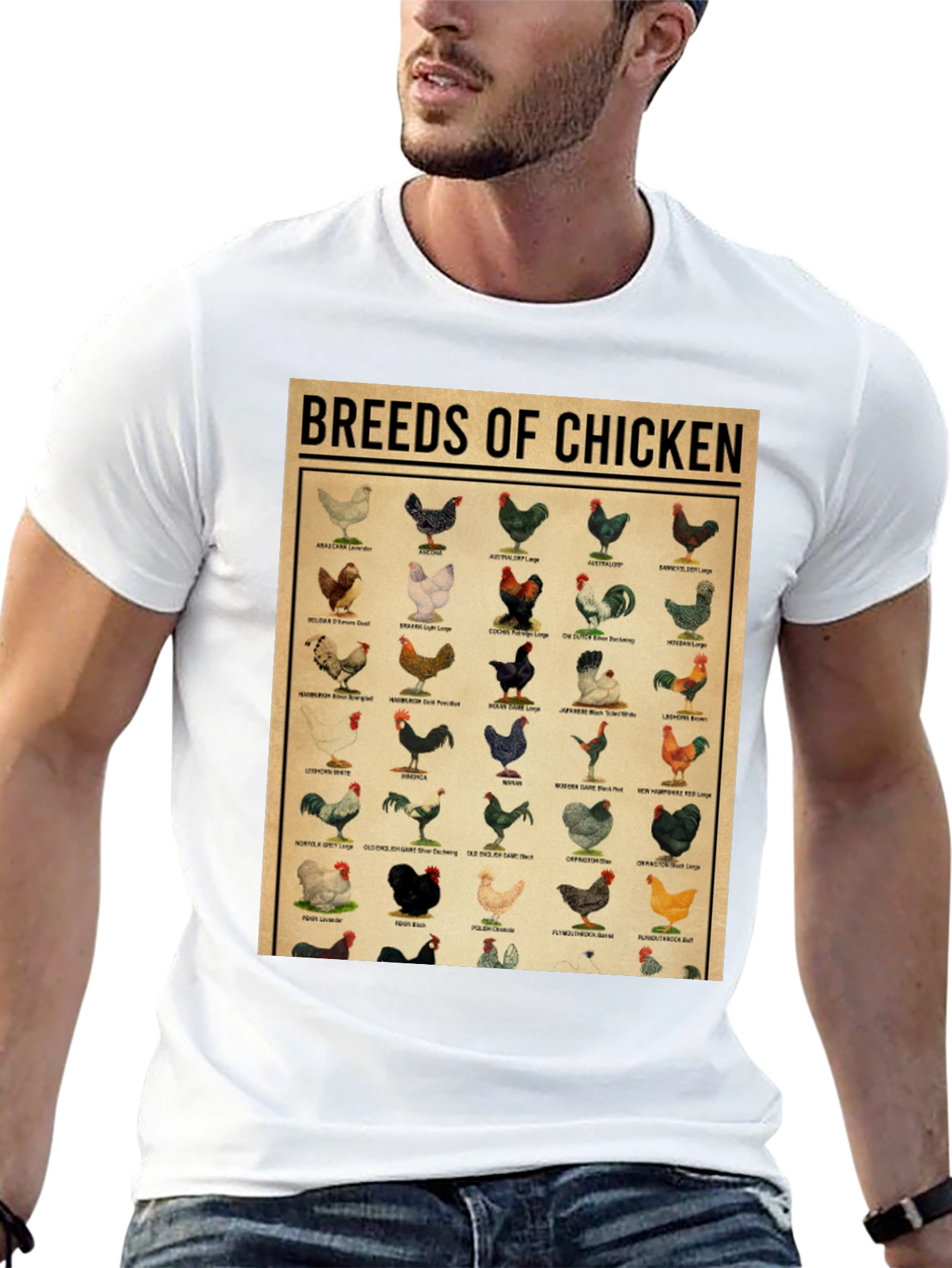 Breeds of Chicken Graphic Tee - Black T-Shirt