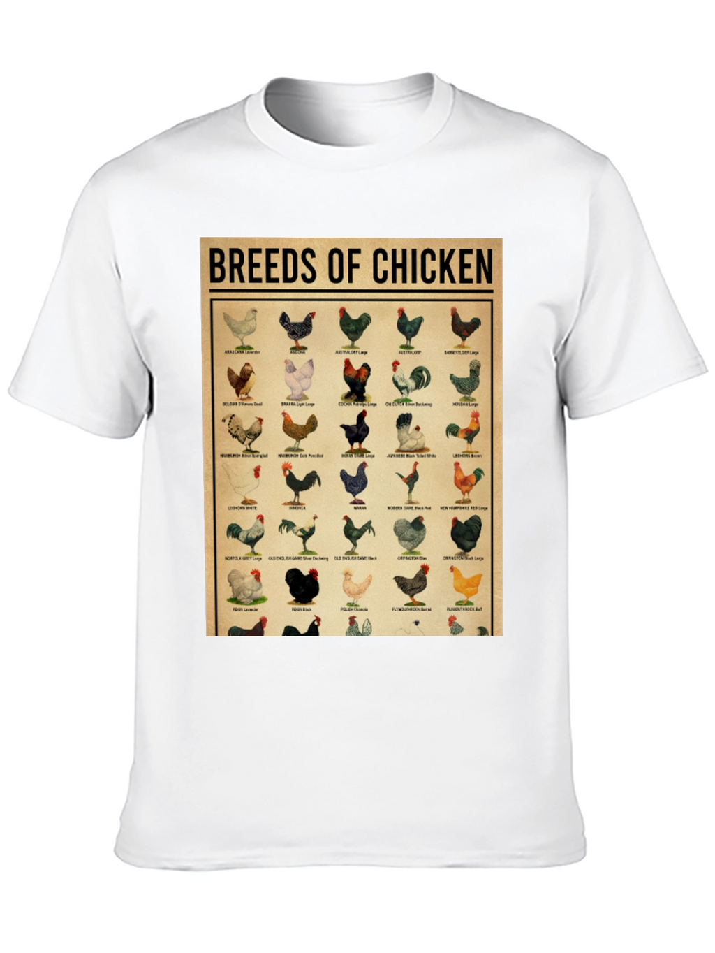 Breeds of Chicken Graphic Tee - Black T-Shirt