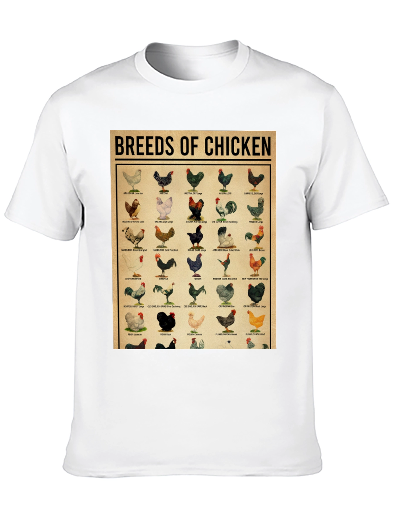 Breeds of Chicken Graphic Tee - Black T-Shirt
