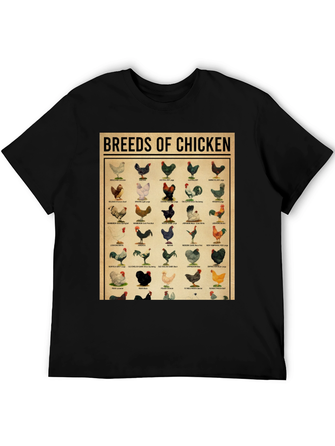 Breeds of Chicken Graphic Tee - Black T-Shirt