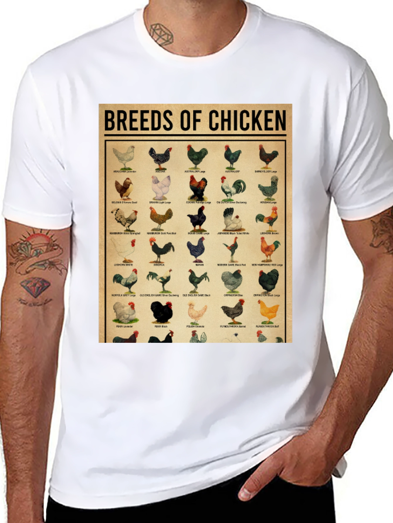 Breeds of Chicken Graphic Tee - Black T-Shirt