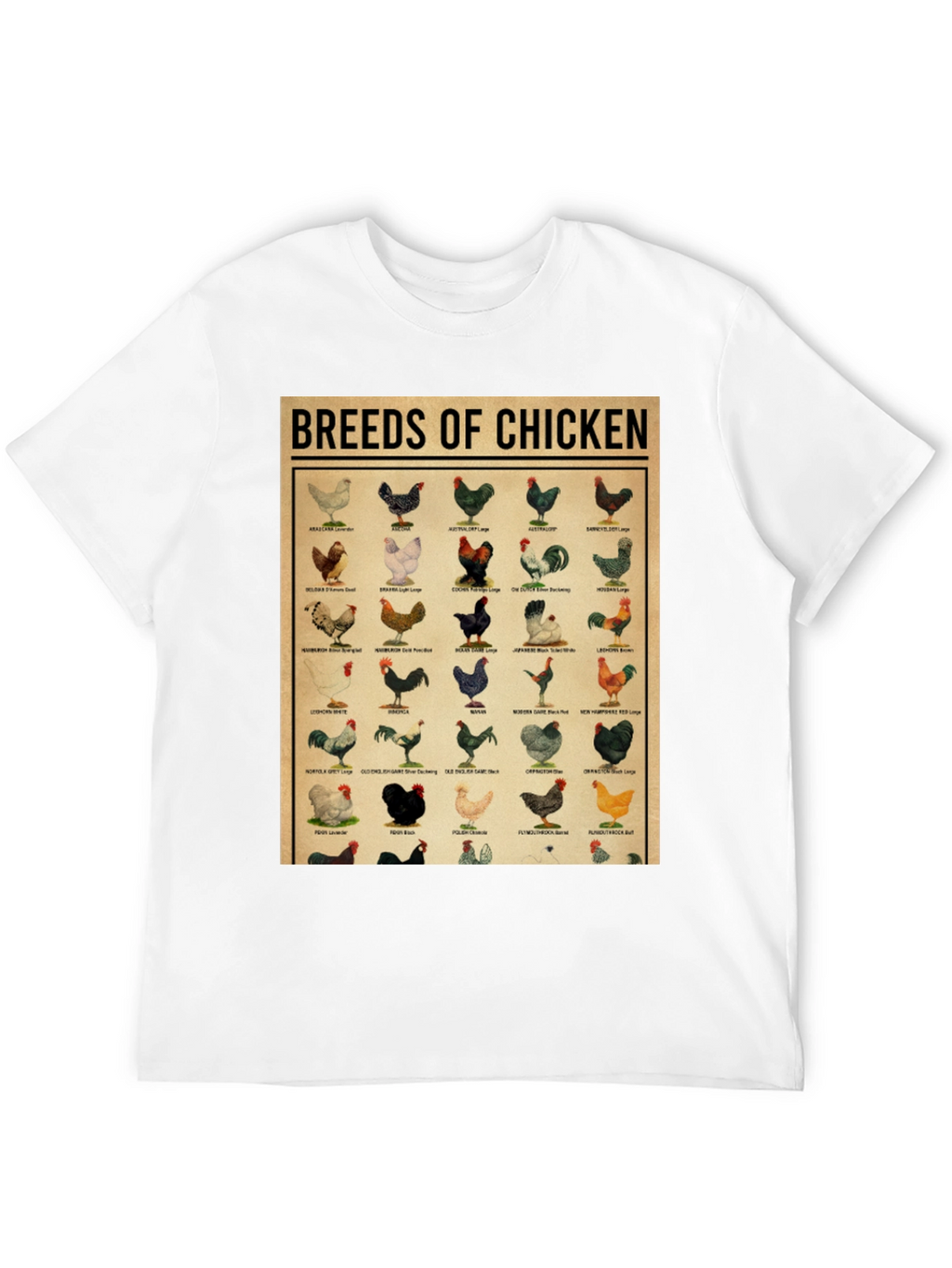 Breeds of Chicken Graphic Tee - Black T-Shirt