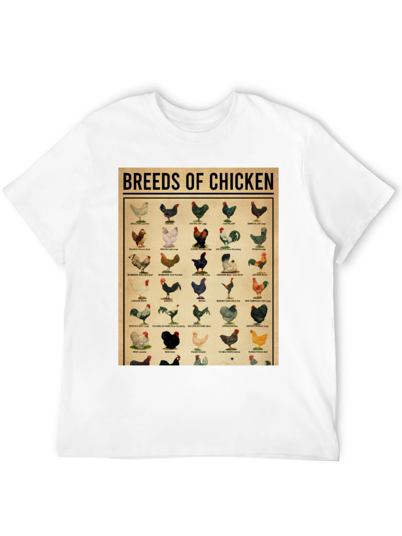 Breeds of Chicken Graphic Tee - Black T-Shirt