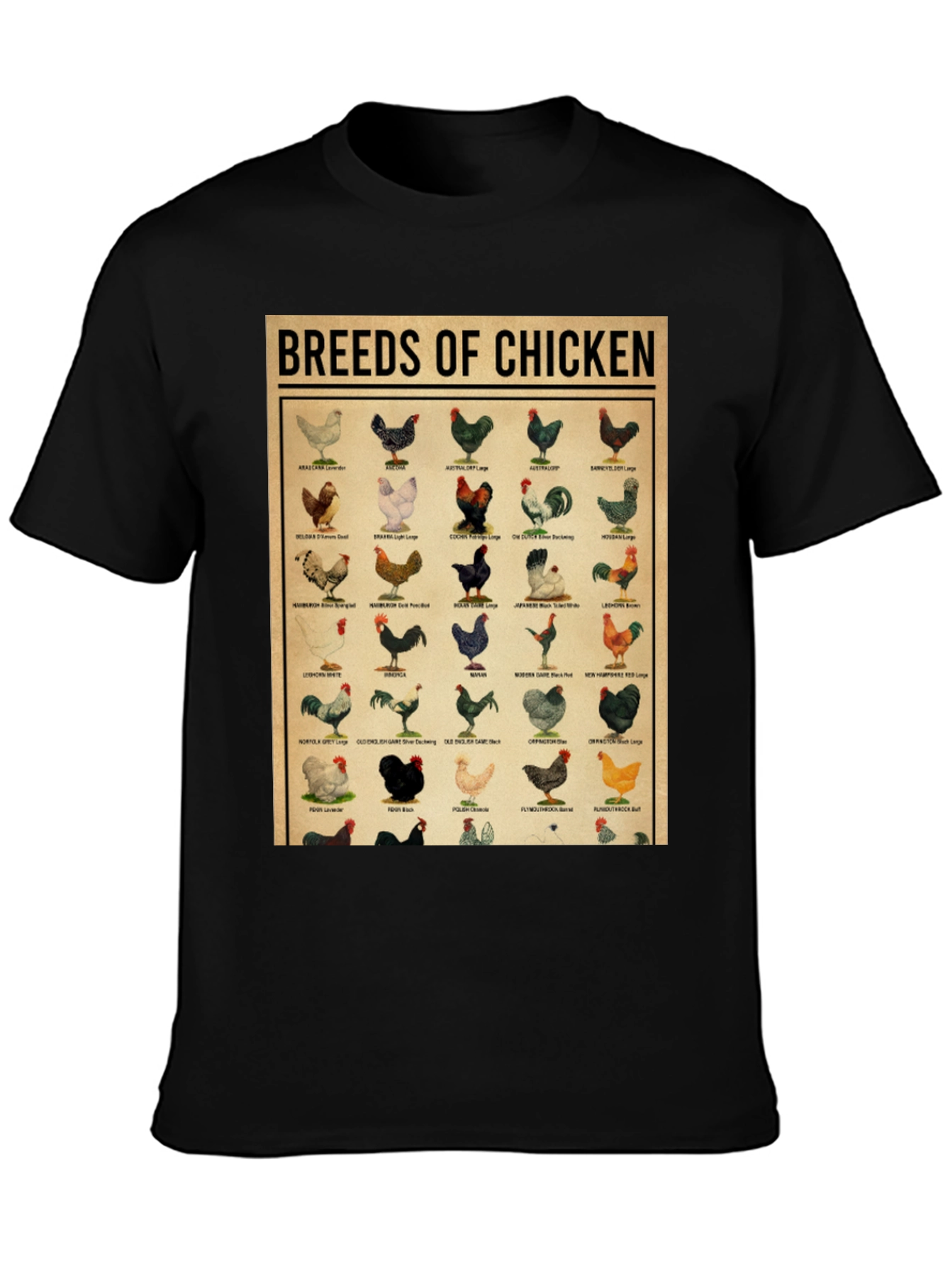 Breeds of Chicken Graphic Tee - Black T-Shirt