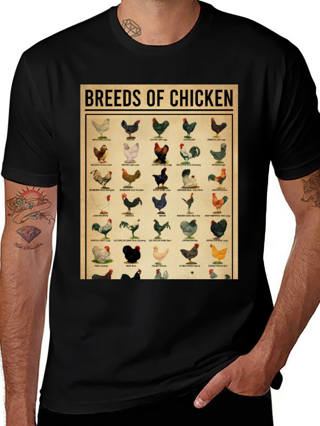 Breeds of Chicken Graphic Tee - Black T-Shirt