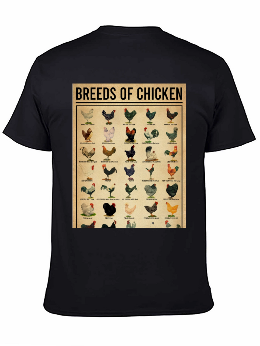 Breeds of Chicken Graphic Tee - Black T-Shirt
