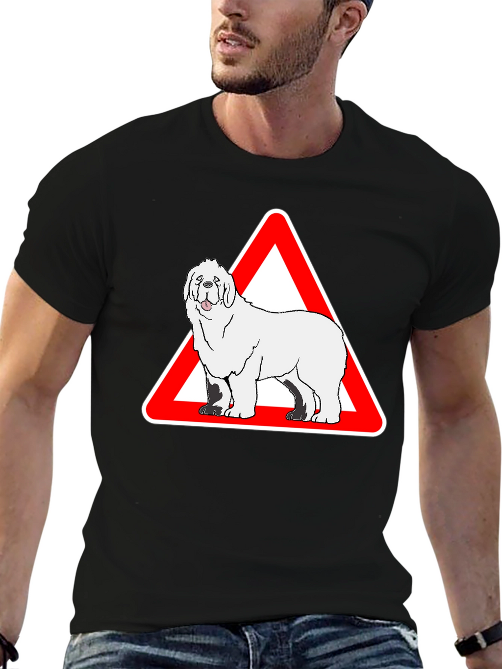 Dog Warning Sign Graphic Tee - Black