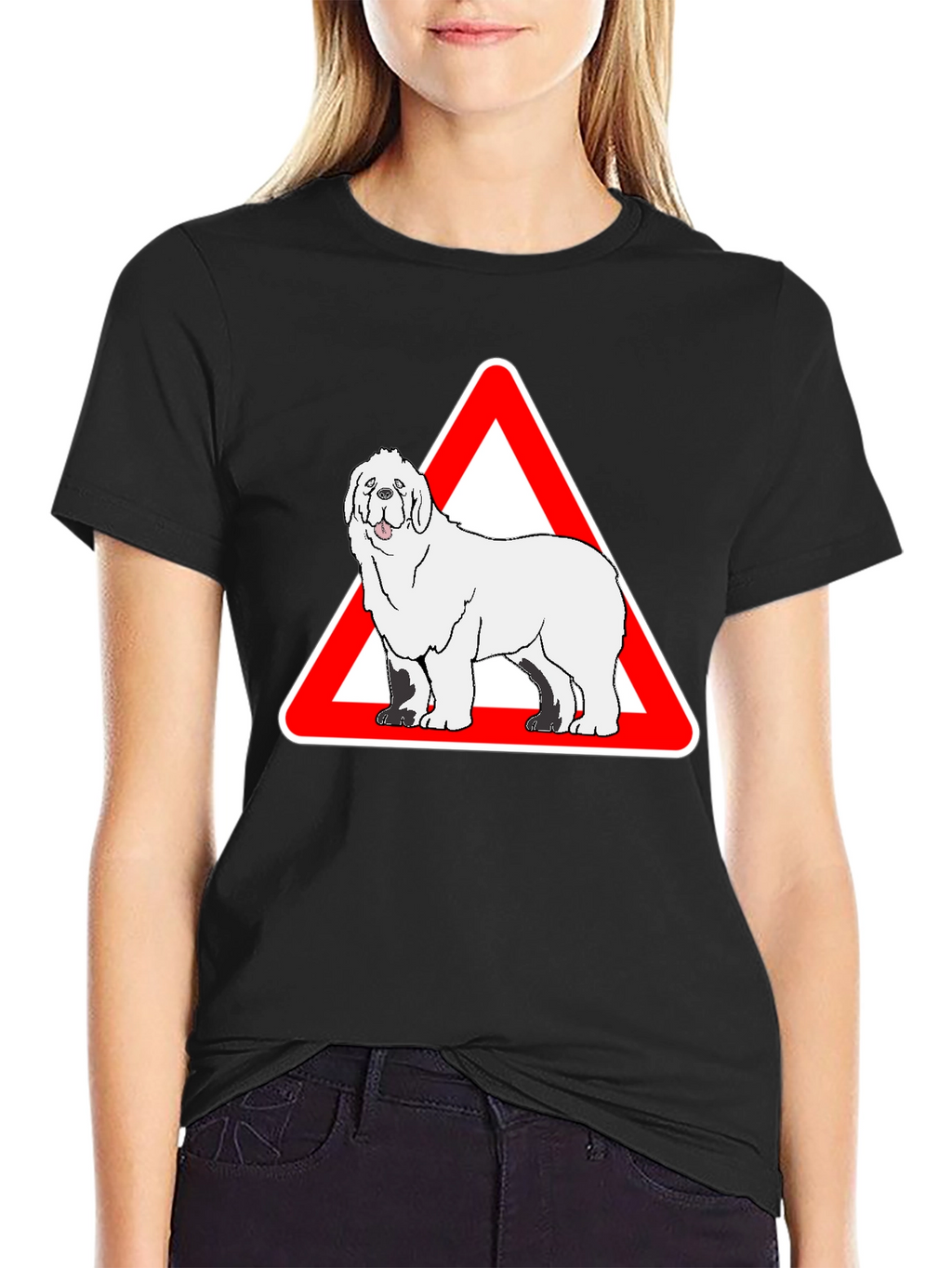 Dog Warning Sign Graphic Tee - Black