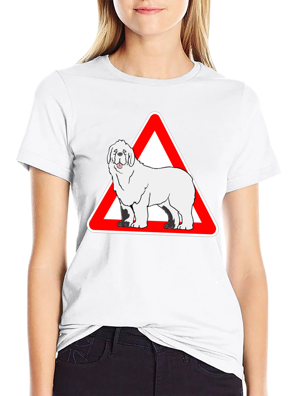 Dog Warning Sign Graphic Tee - Black