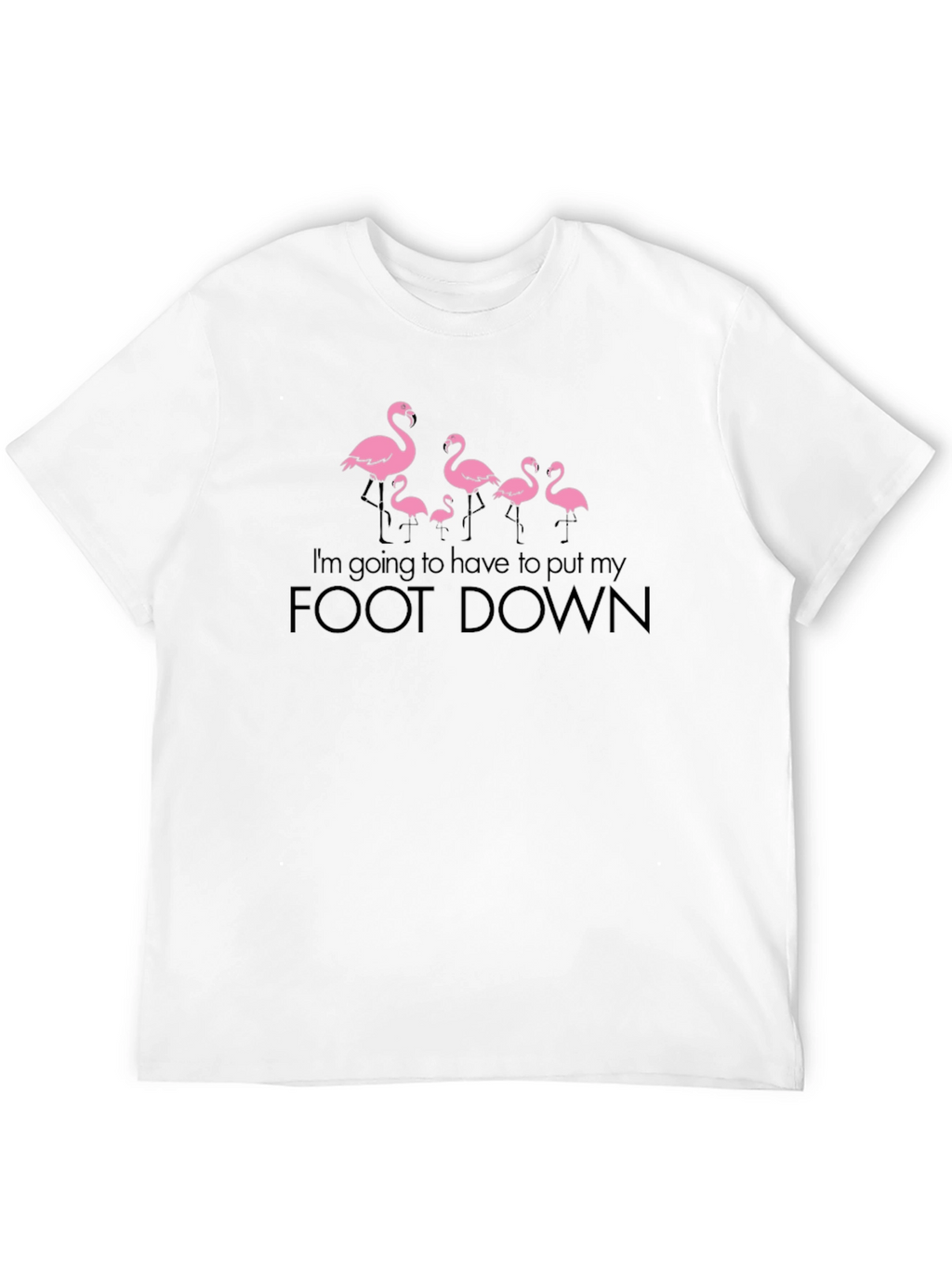 Funny Flamingo Foot Down Graphic T-Shirt