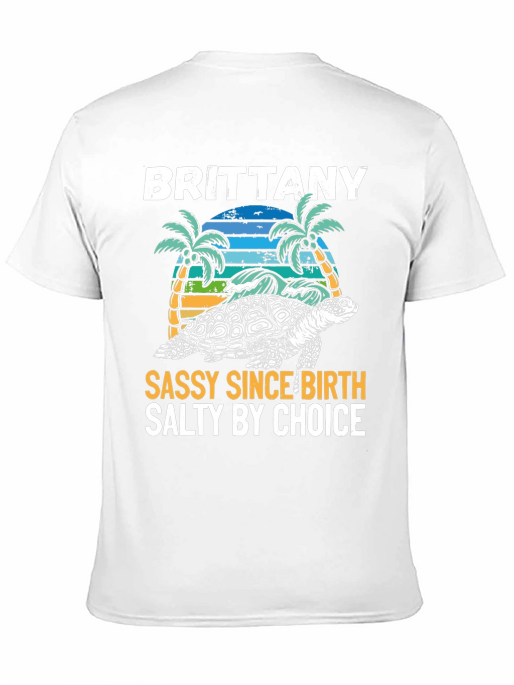 Brittany Turtle Sassy & Salty Graphic Tee