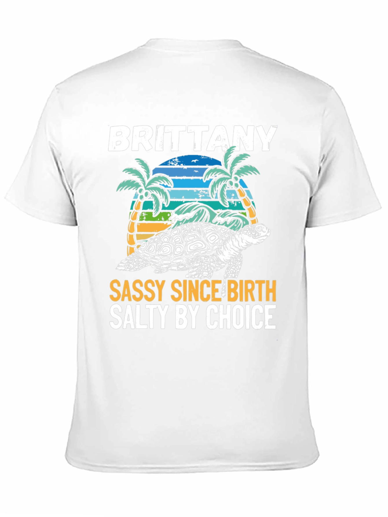 Brittany Turtle Sassy & Salty Graphic Tee