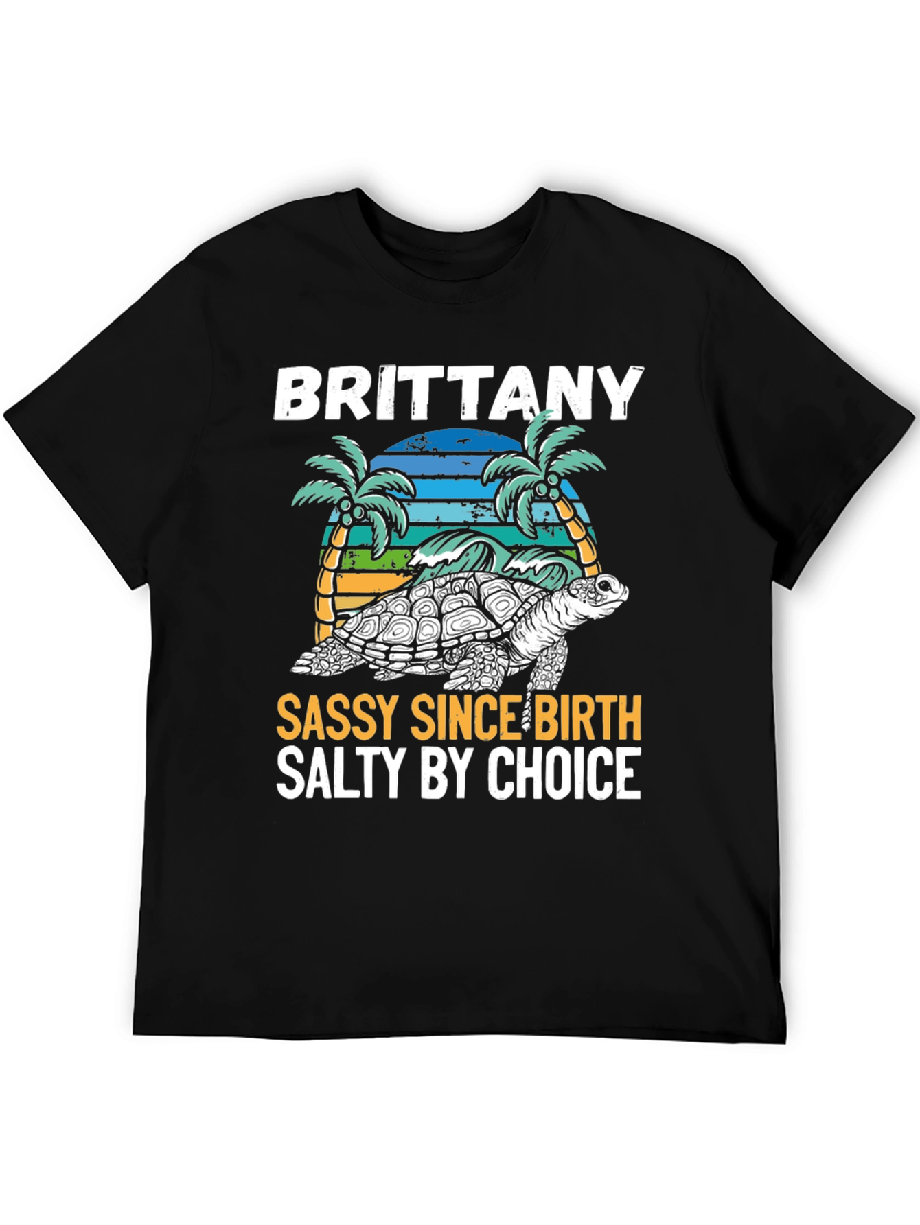 Brittany Turtle Sassy & Salty Graphic Tee