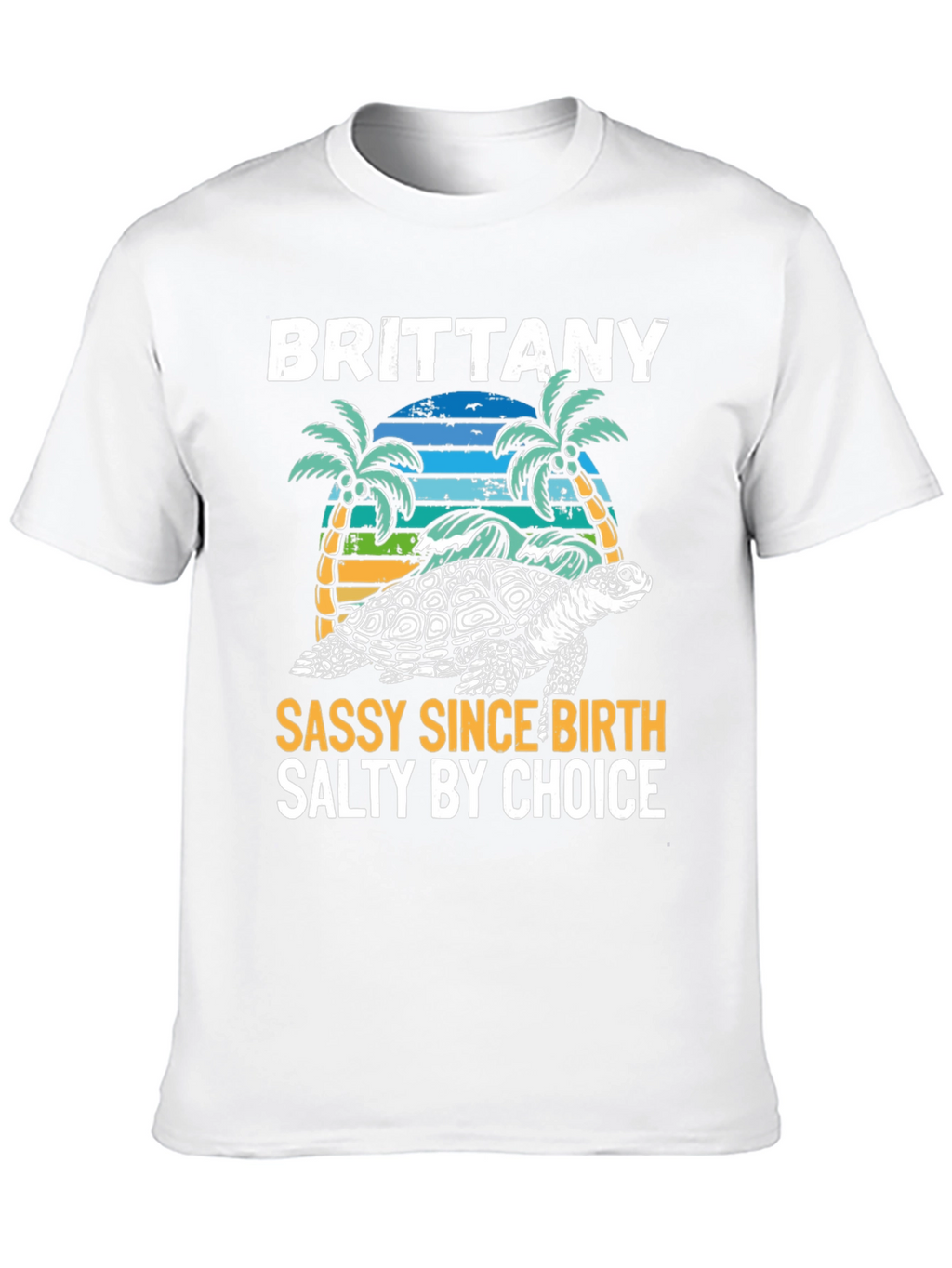 Brittany Turtle Sassy & Salty Graphic Tee