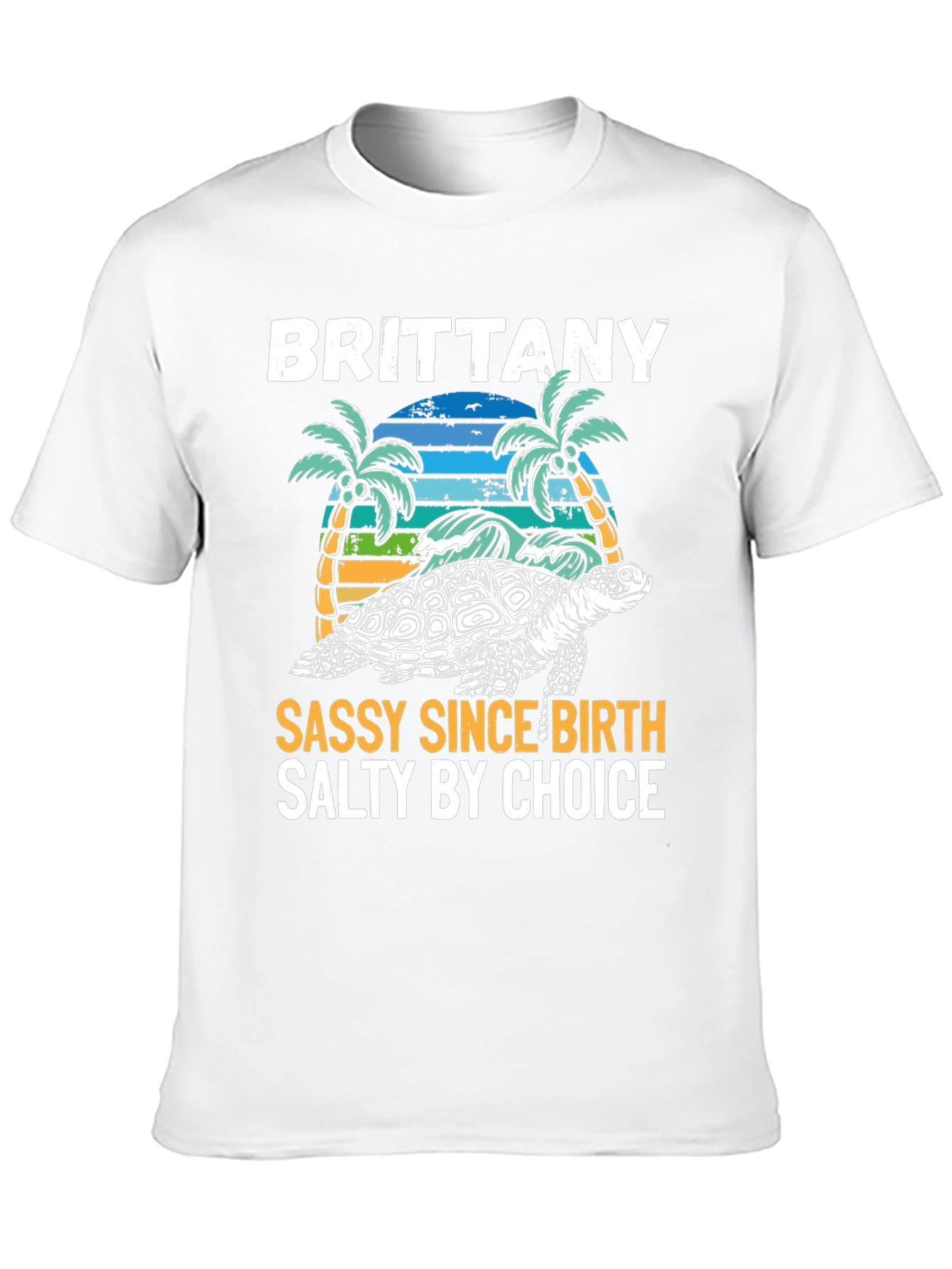 Brittany Turtle Sassy & Salty Graphic Tee