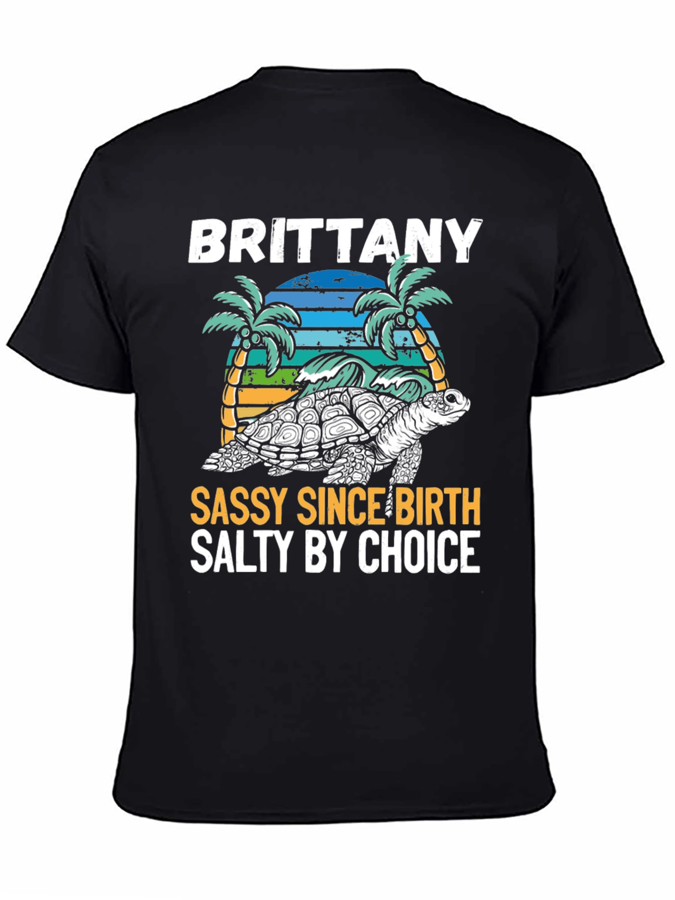 Brittany Turtle Sassy & Salty Graphic Tee