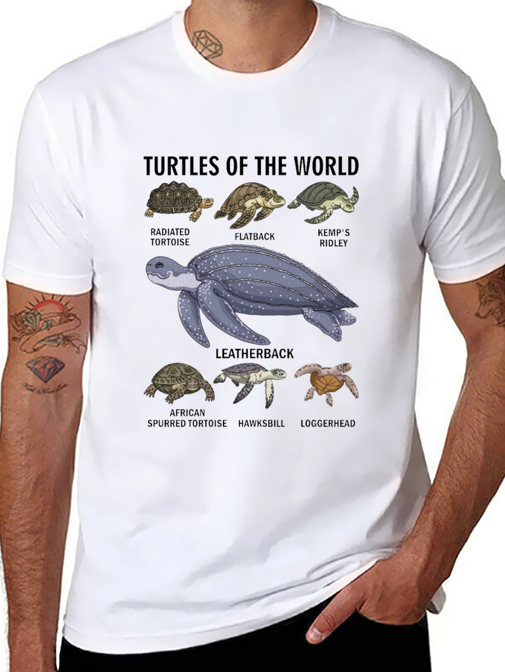 Turtles of the World Graphic T-Shirt