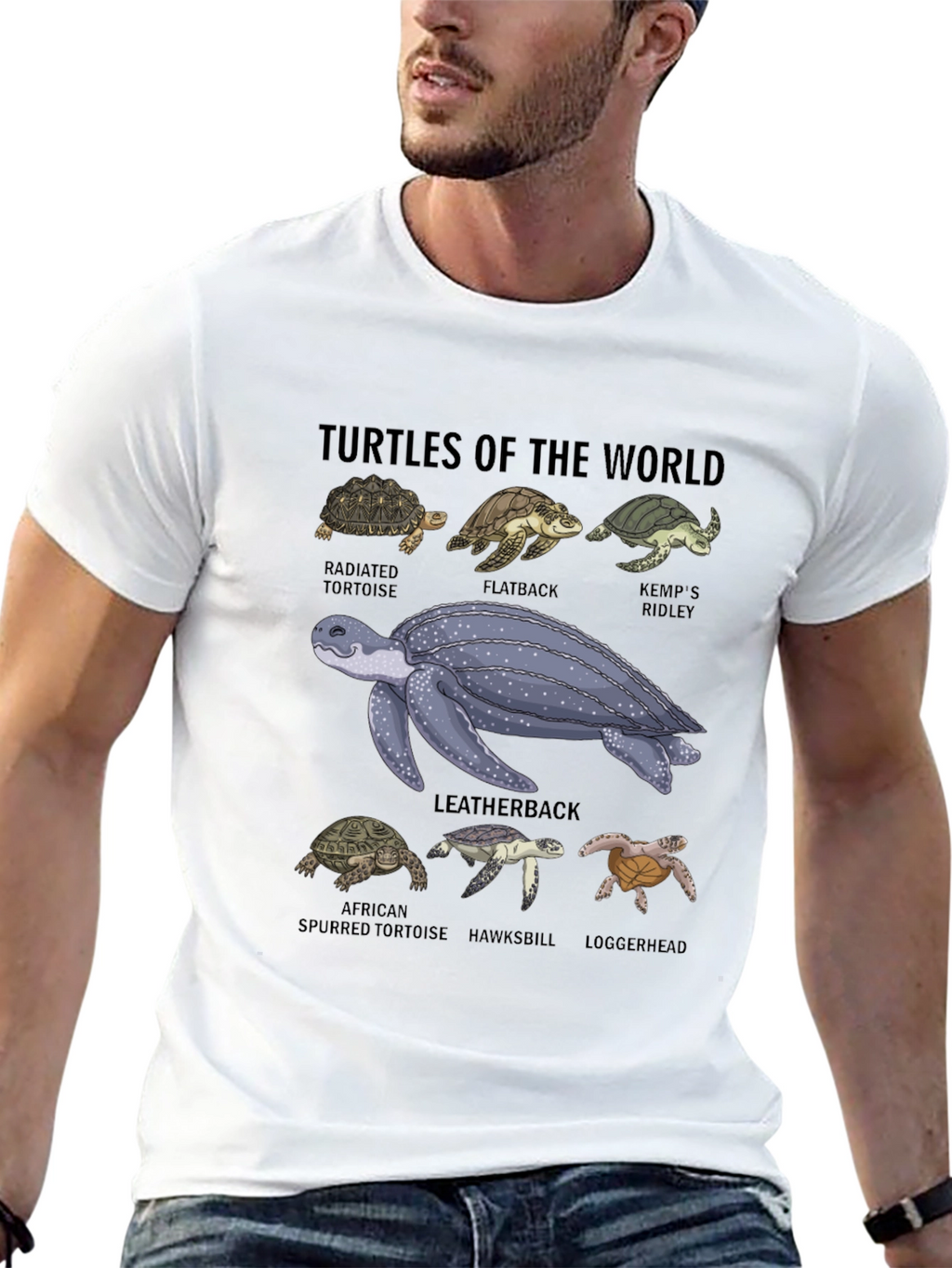 Turtles of the World Graphic T-Shirt