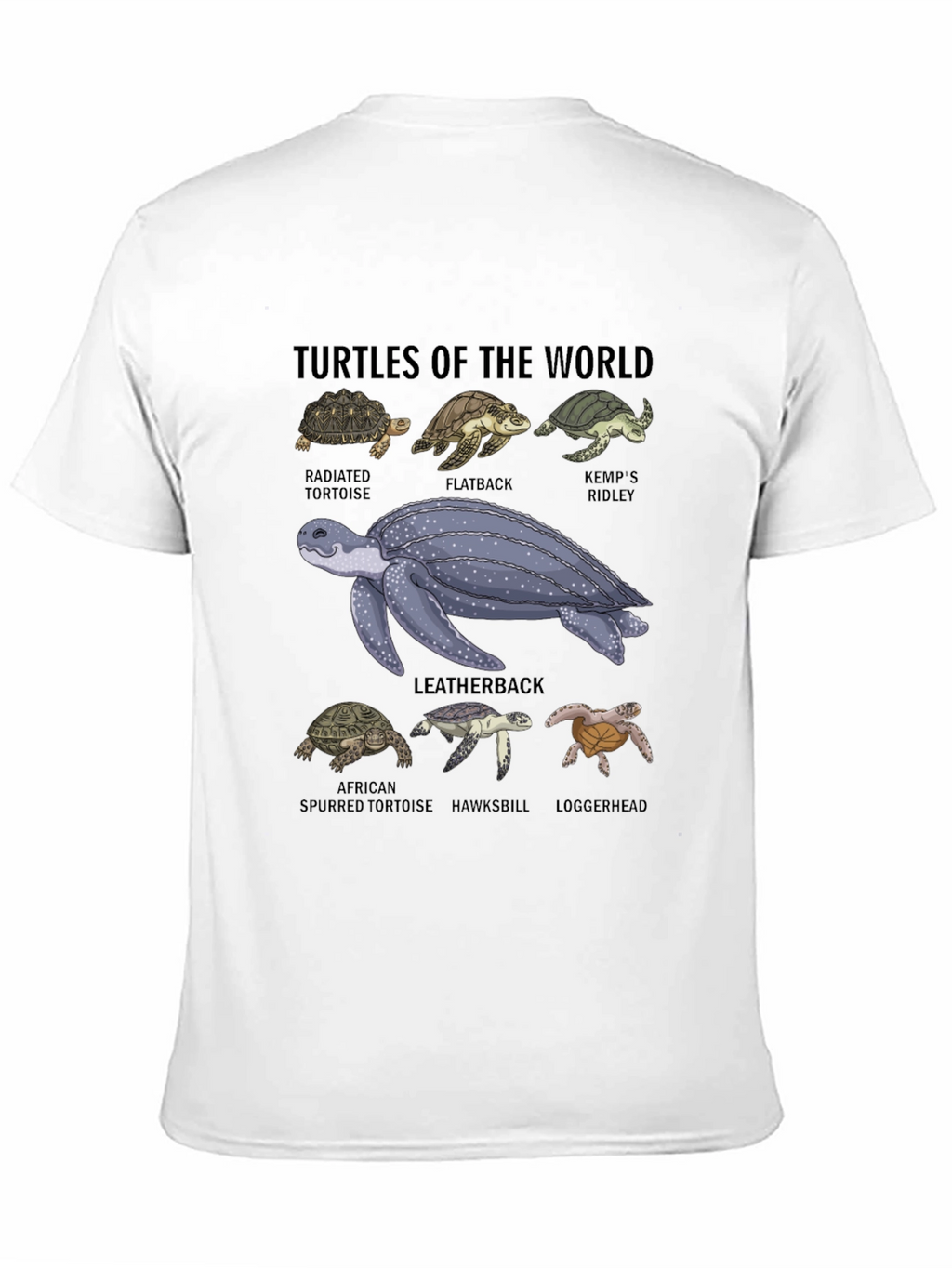 Turtles of the World Graphic T-Shirt