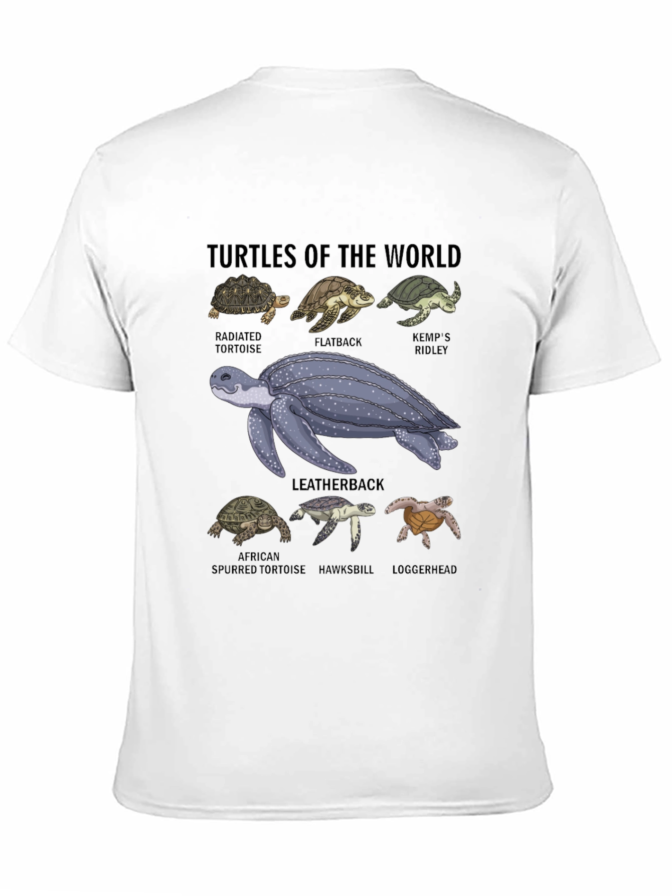 Turtles of the World Graphic T-Shirt
