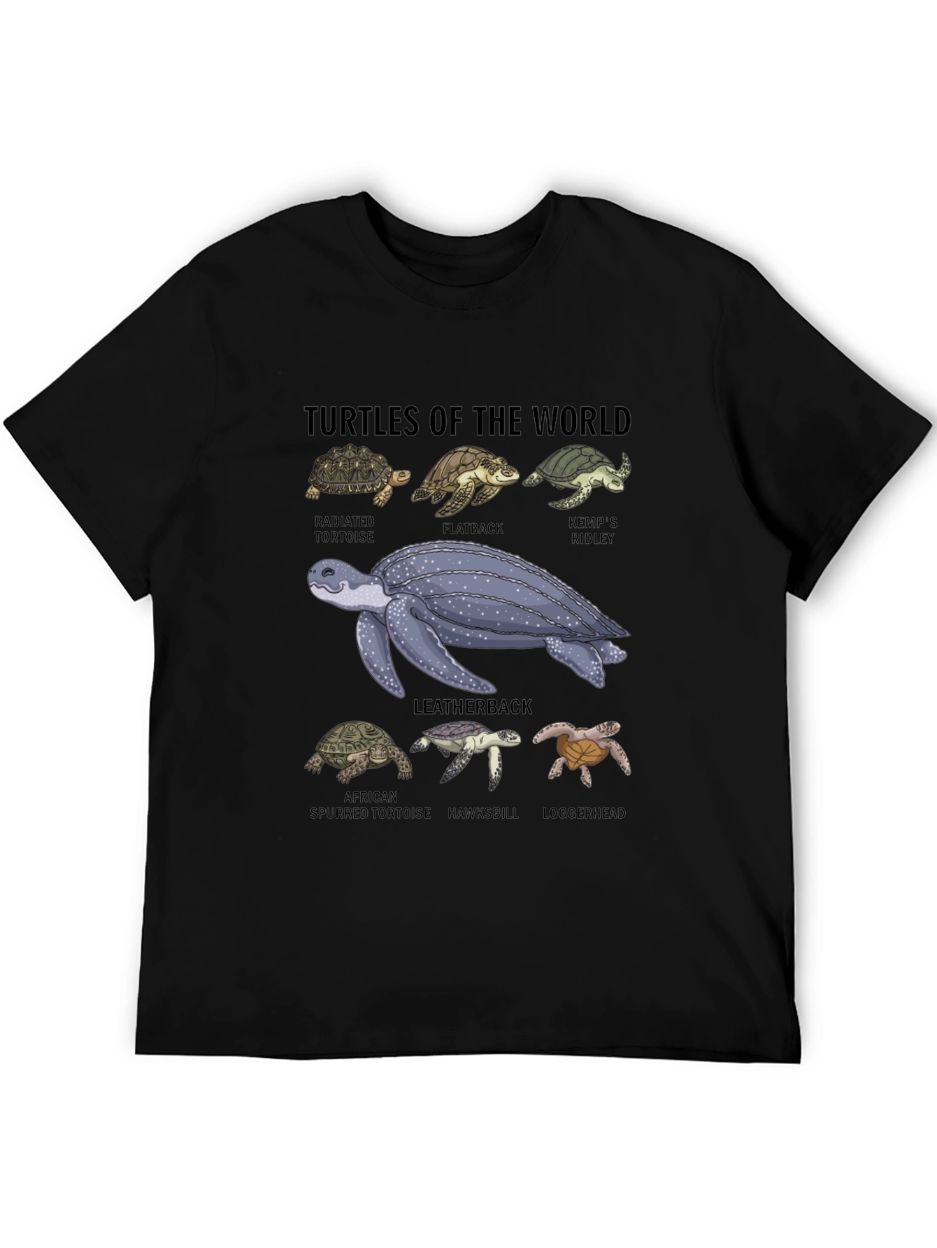 Turtles of the World Graphic T-Shirt